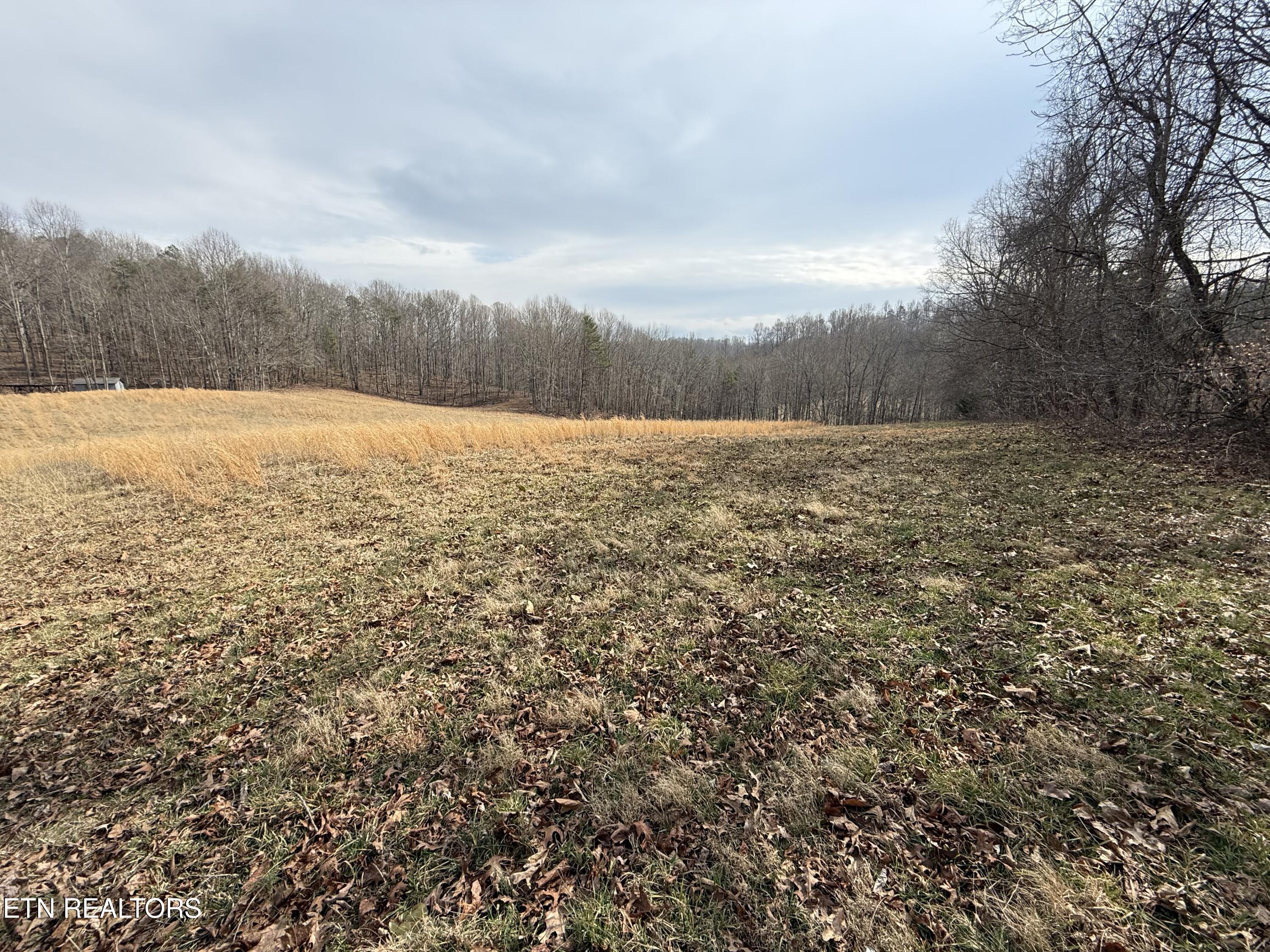 303 Tar Town Hollow Lane Lafollette TN 37766