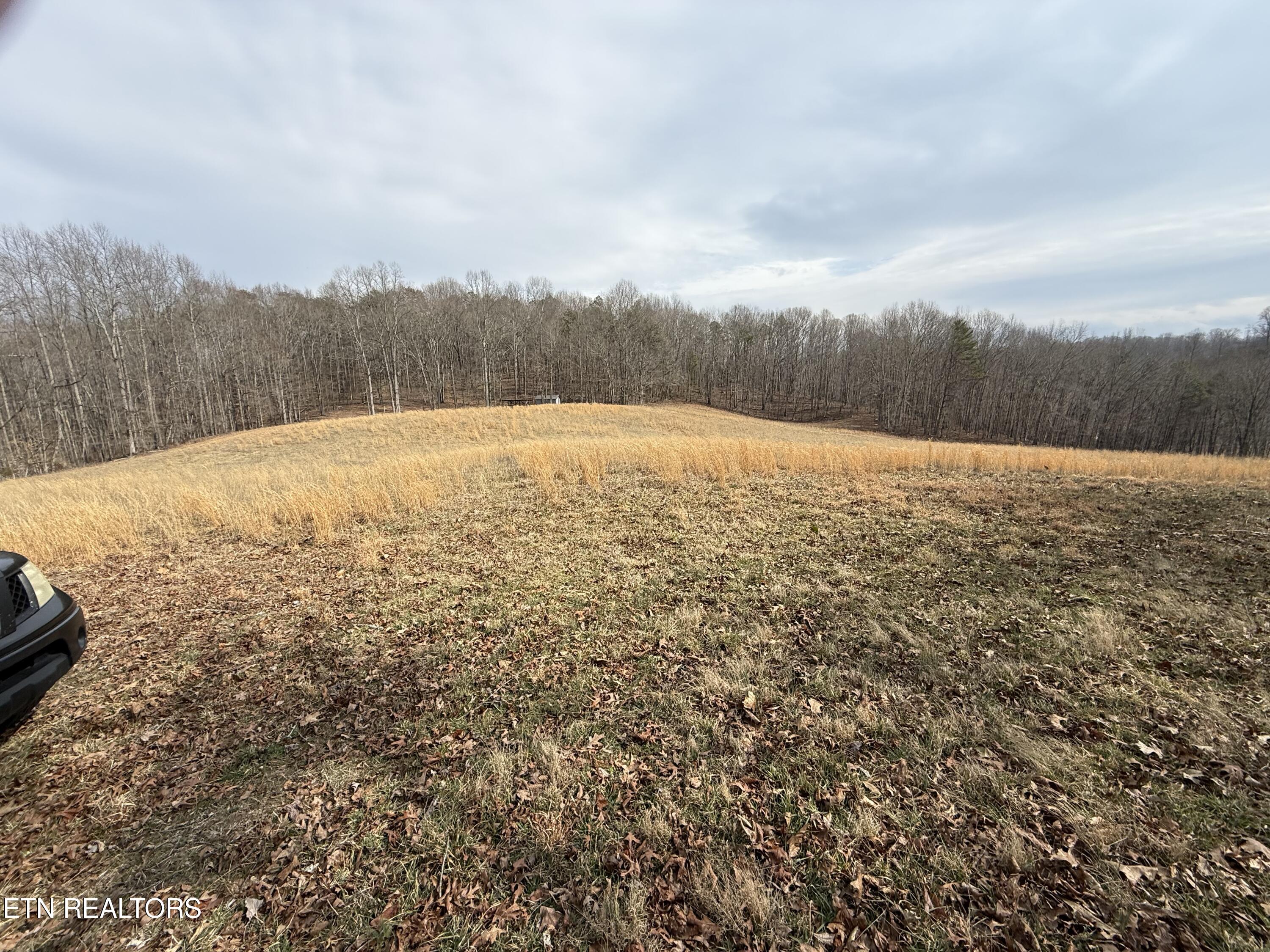 303 Tar Town Hollow Lane Lafollette TN 37766