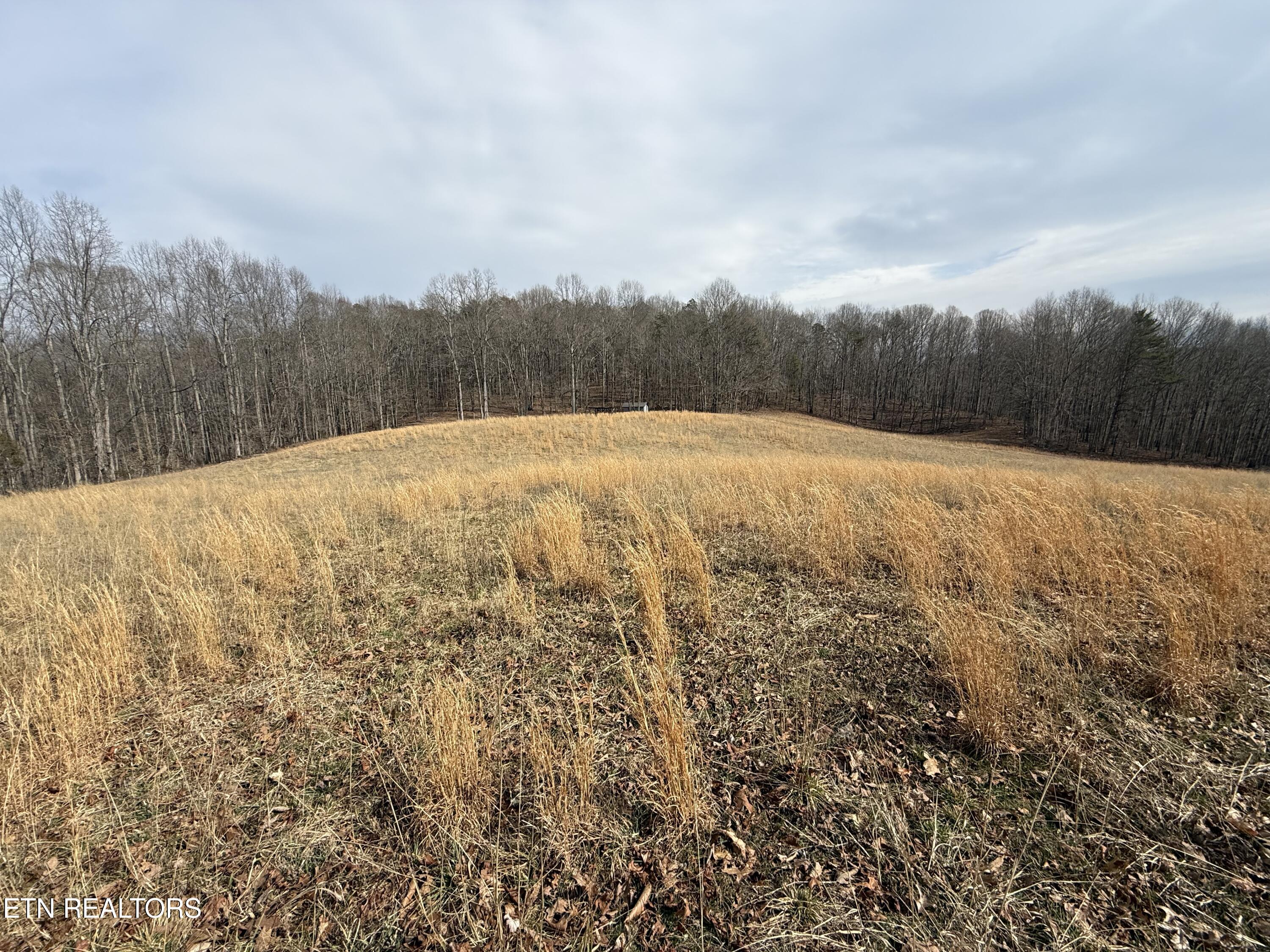 303 Tar Town Hollow Lane Lafollette TN 37766