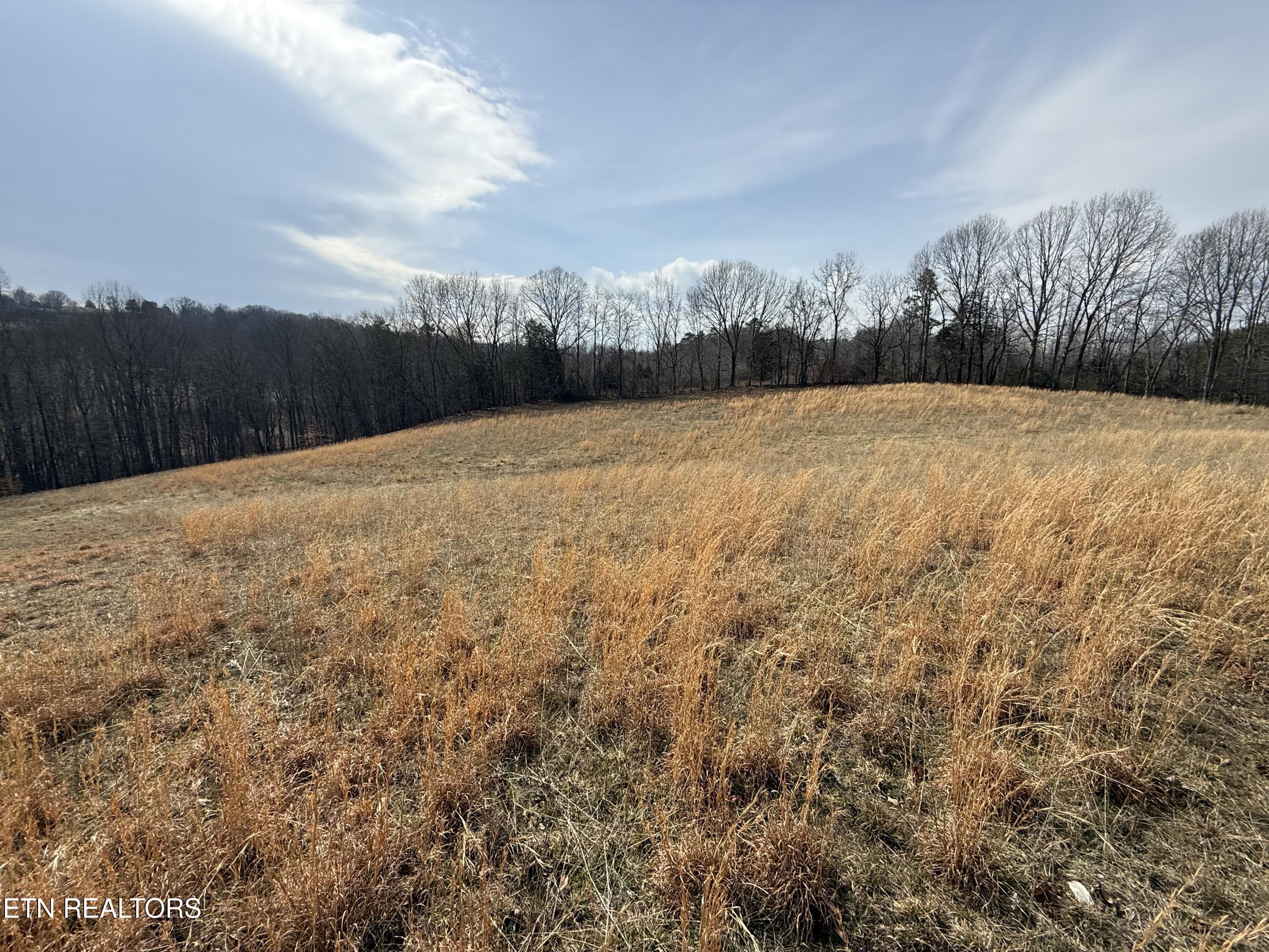 303 Tar Town Hollow Lane Lafollette TN 37766