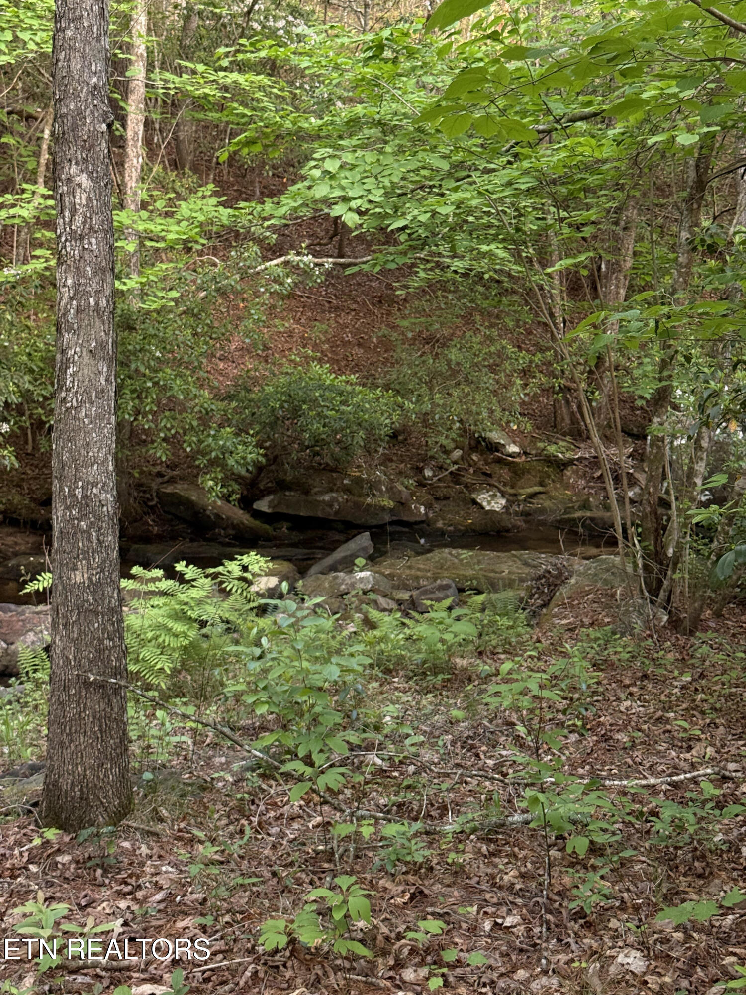 Genesis Road - 10.14 Acres Crossville TN 38571
