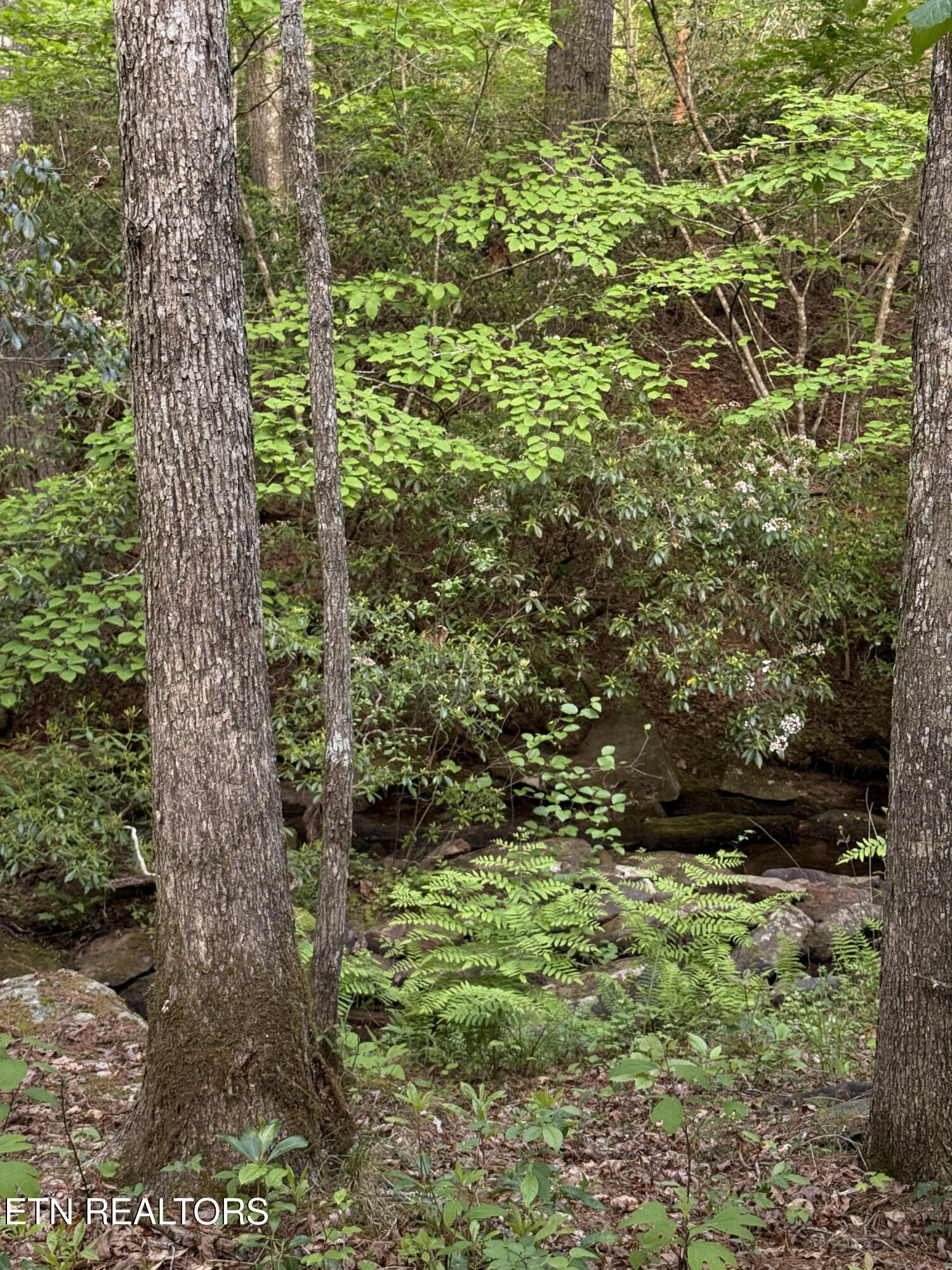 Genesis Road - 10.14 Acres Crossville TN 38571