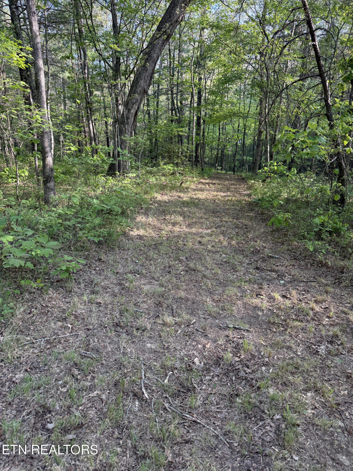 Genesis Road - 10.14 Acres Crossville TN 38571