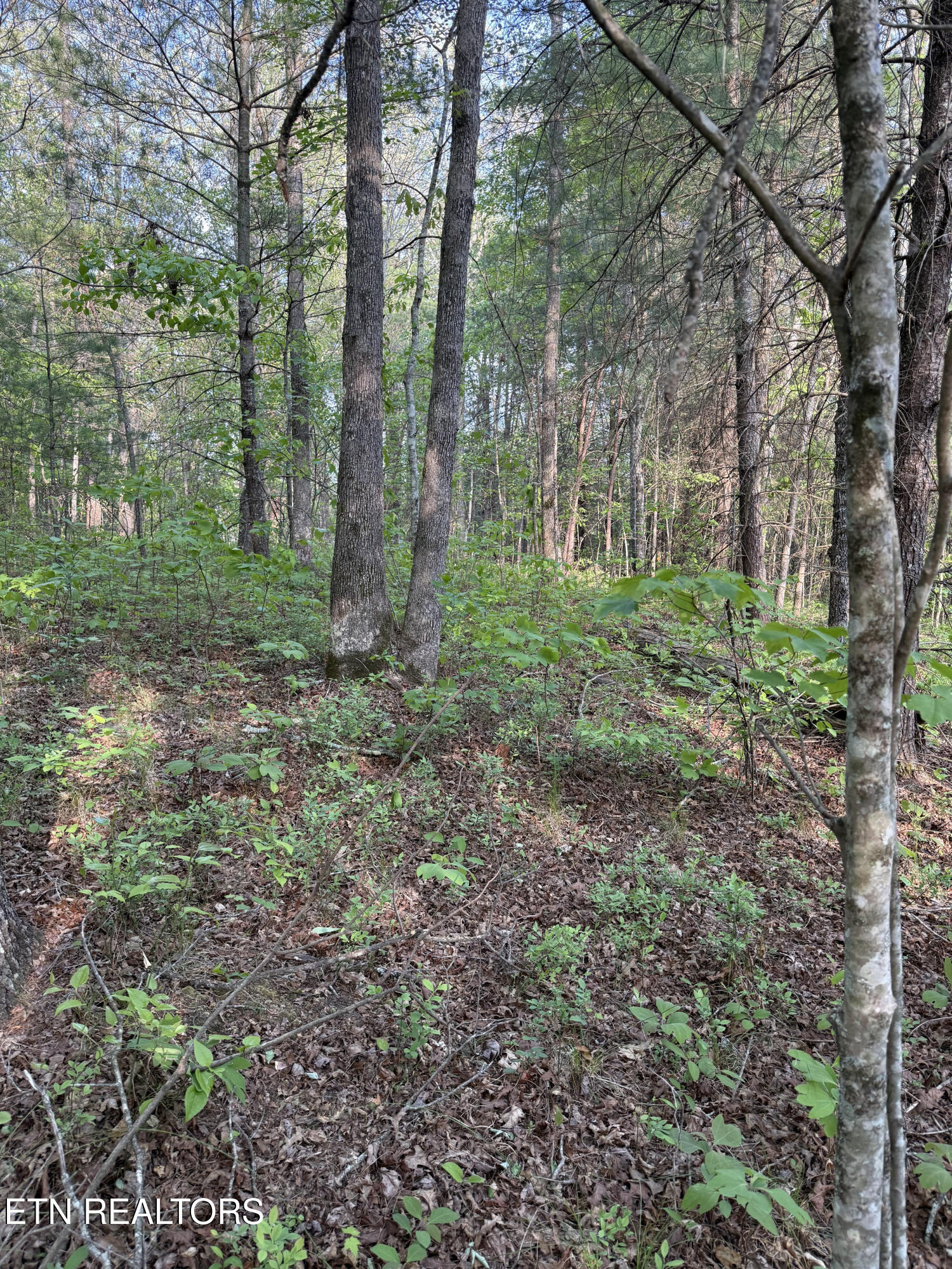 Genesis Road - 10.14 Acres Crossville TN 38571