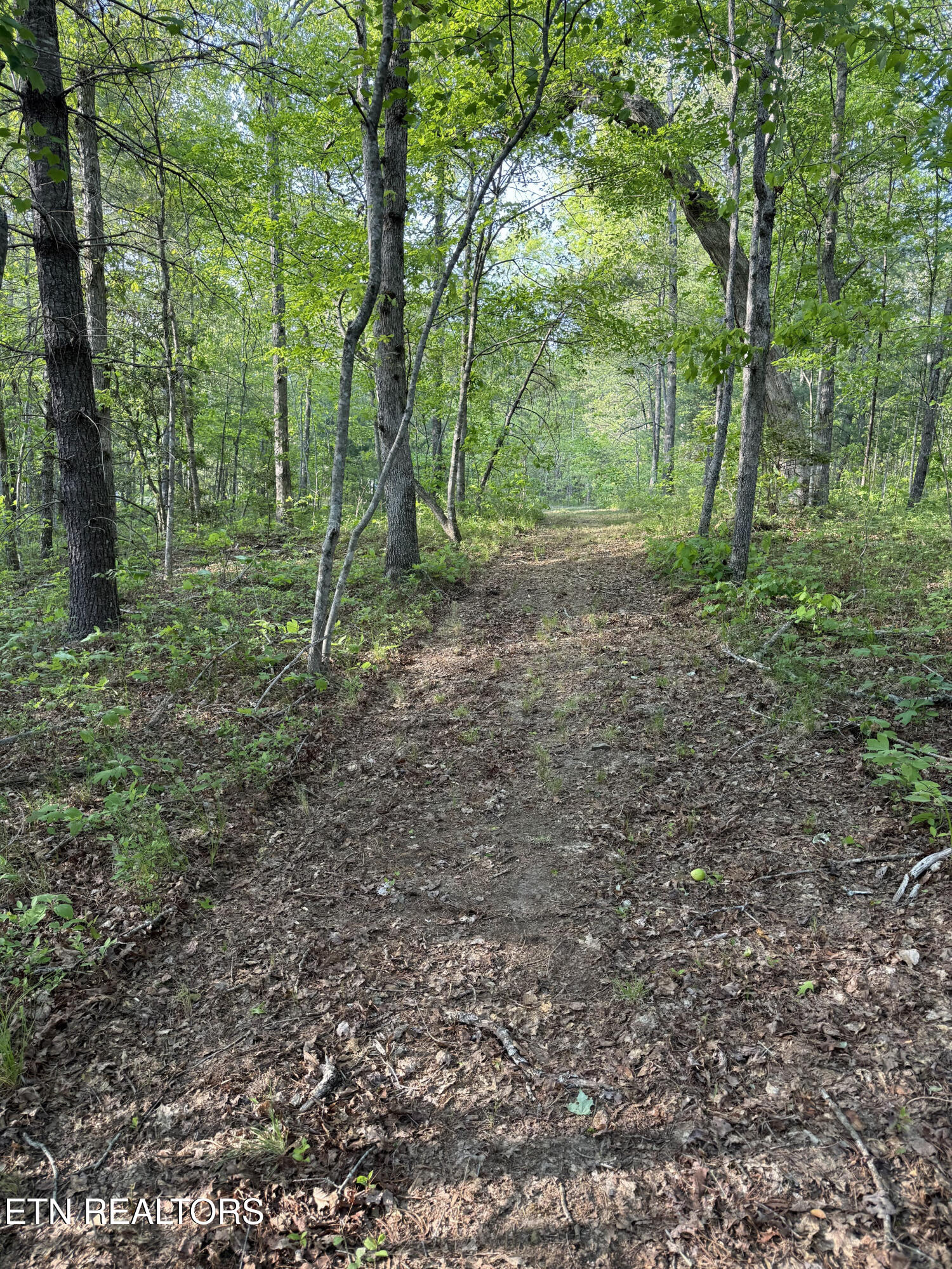 Genesis Road - 10.14 Acres Crossville TN 38571