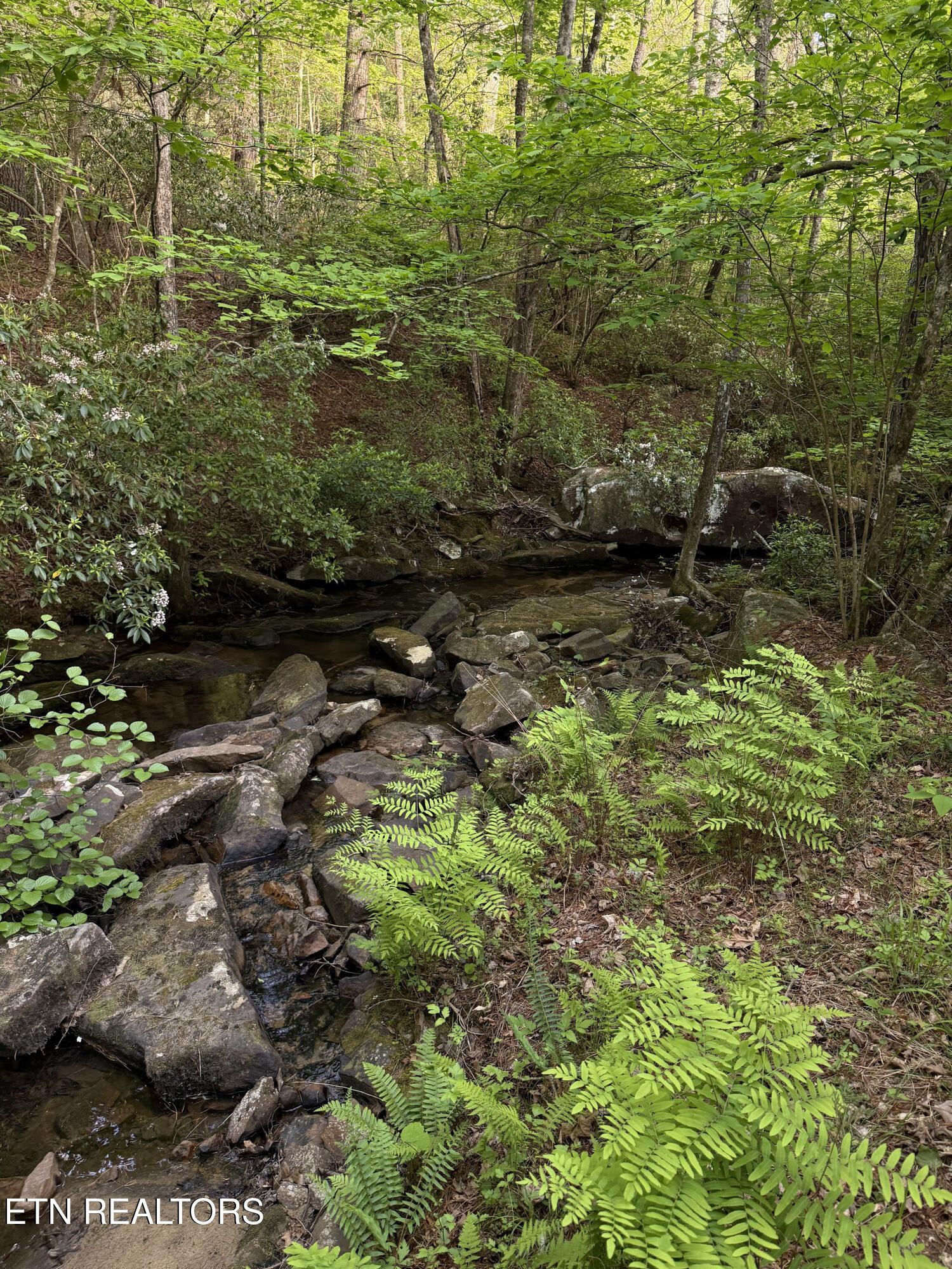 Genesis Road - 10.14 Acres Crossville TN 38571