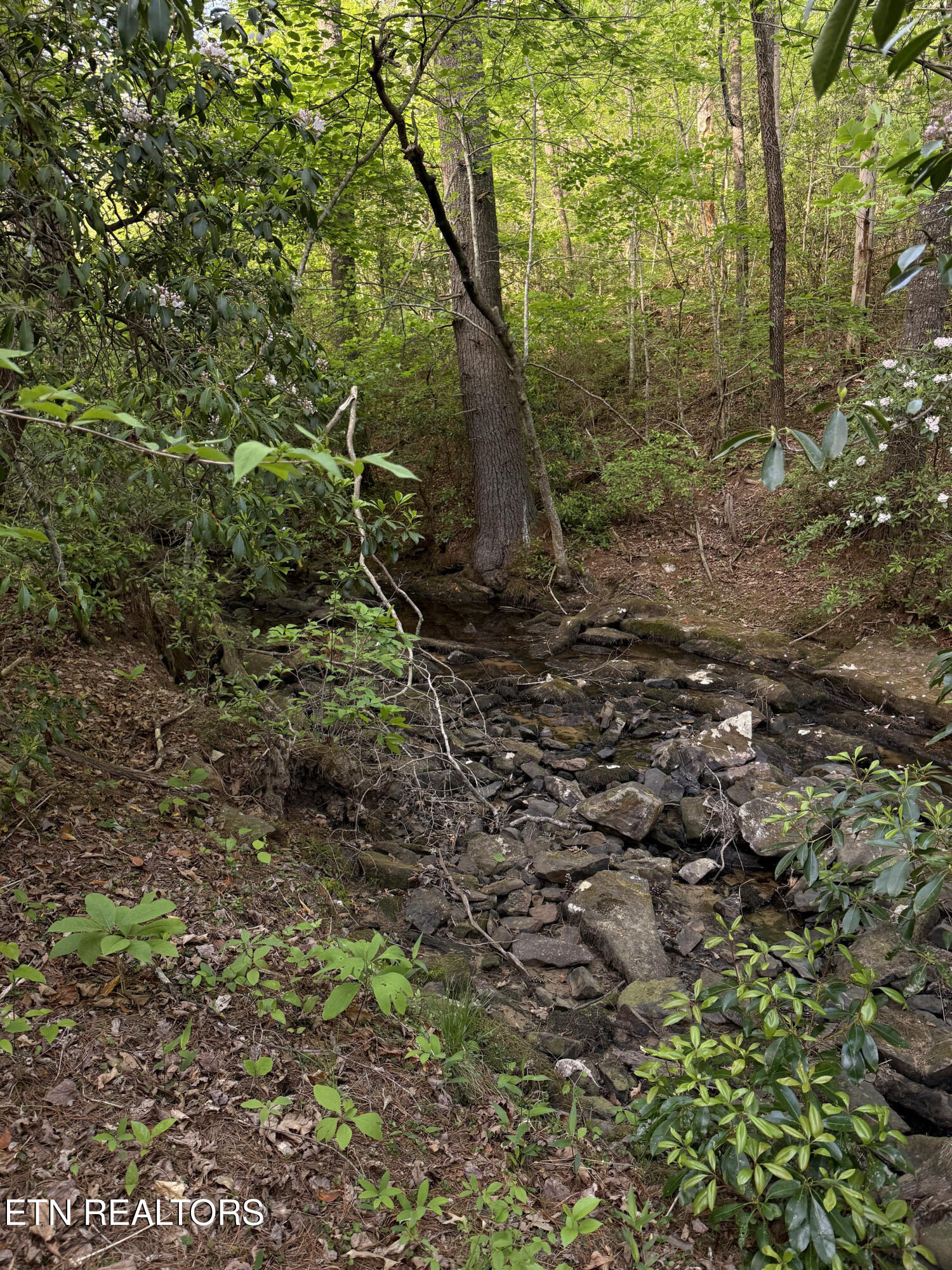 Genesis Road - 10.14 Acres Crossville TN 38571