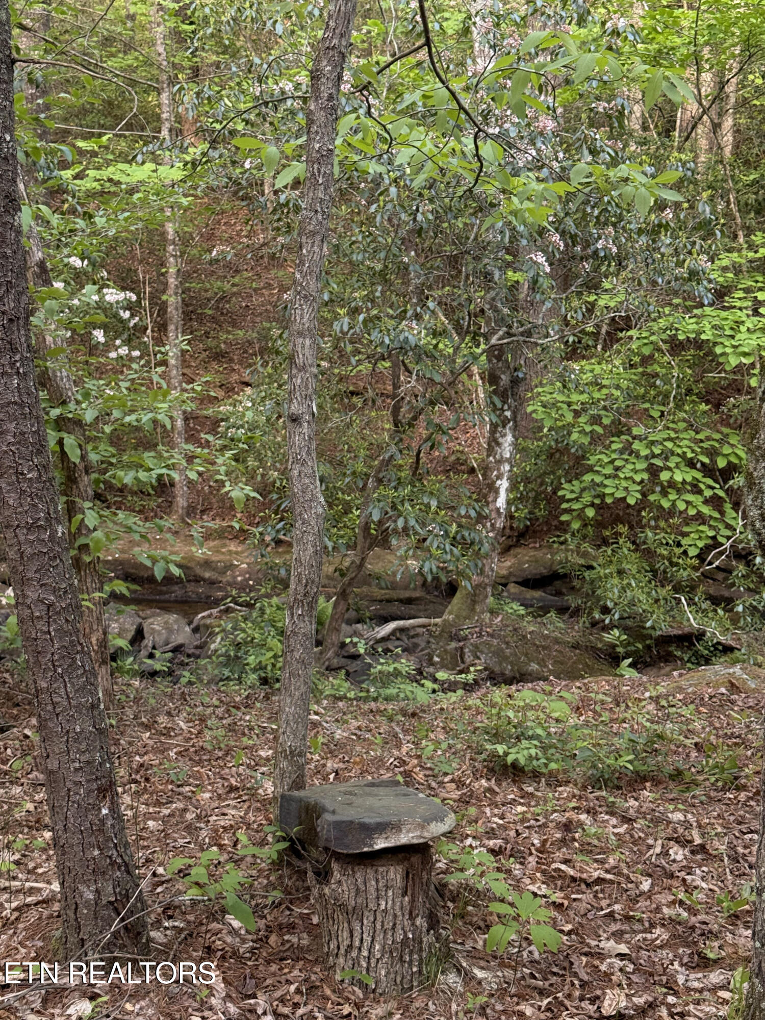 Genesis Road - 10.14 Acres Crossville TN 38571