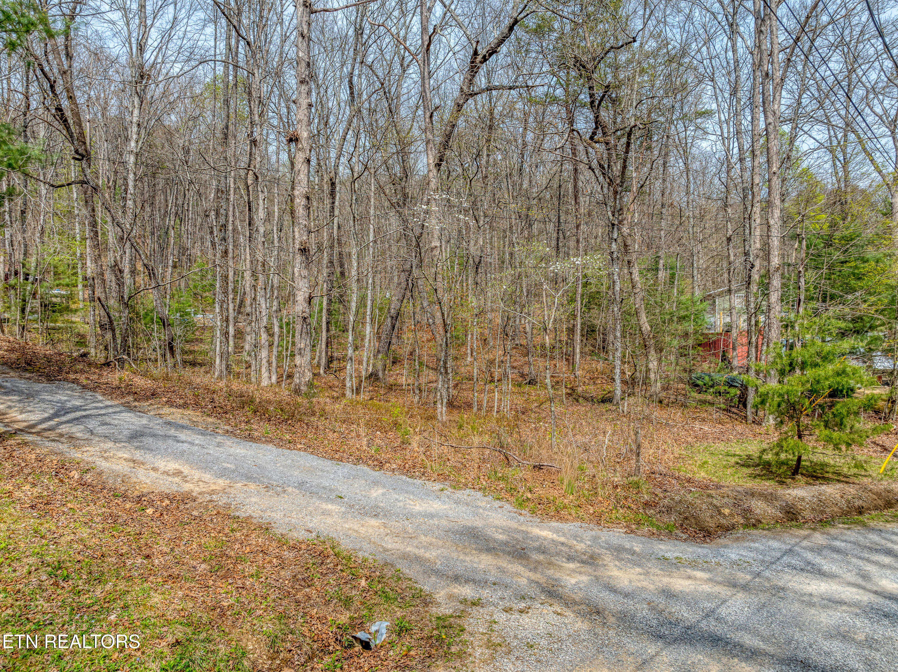 6871 Holiday Drive Tallassee TN 37878