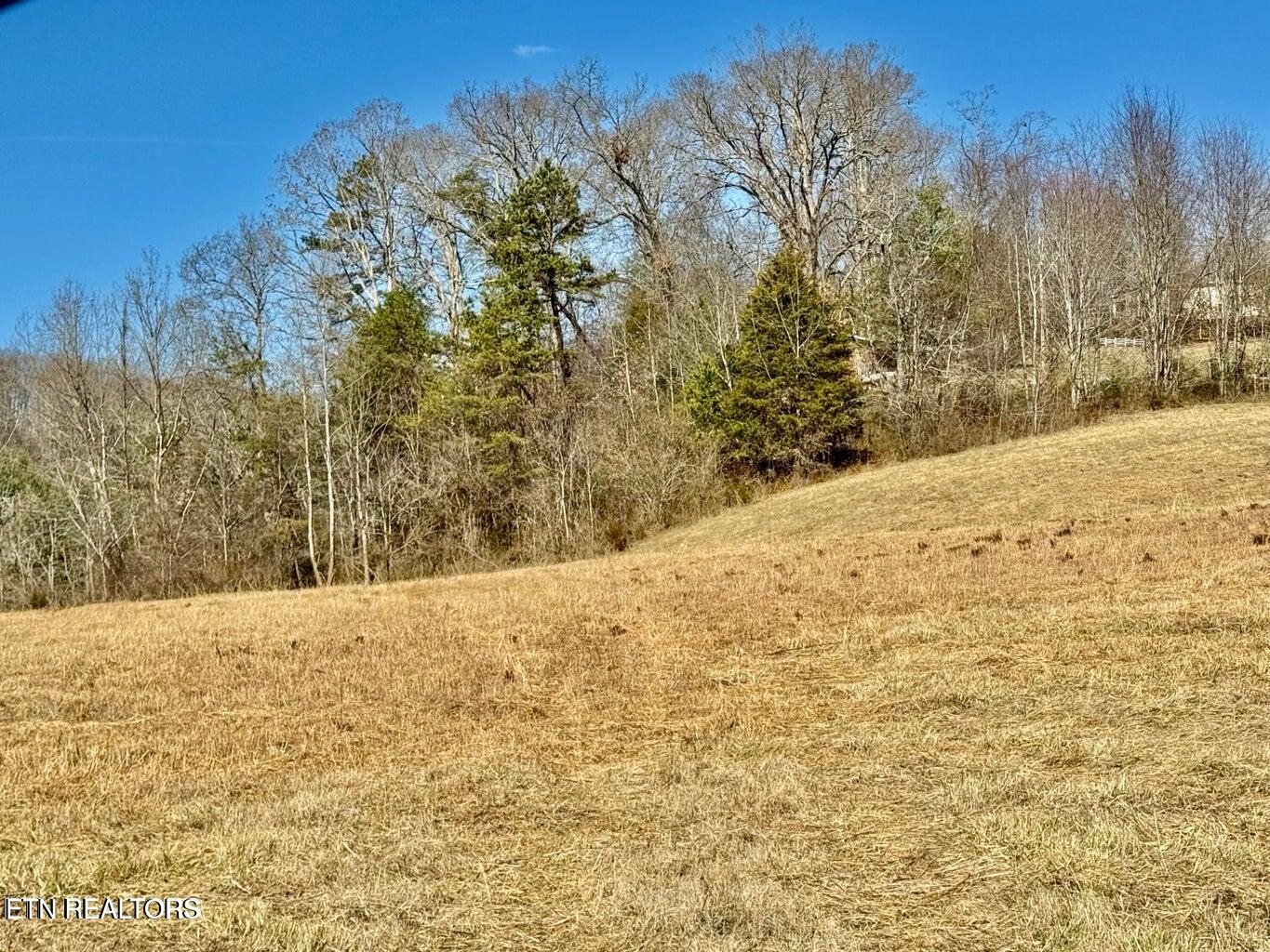 Harmon Road New Tazewell TN 37825