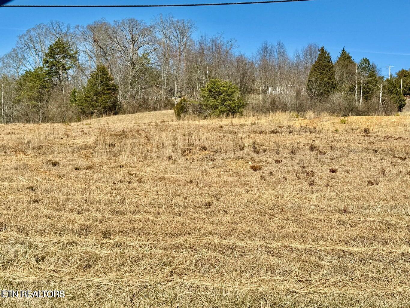Harmon Road New Tazewell TN 37825