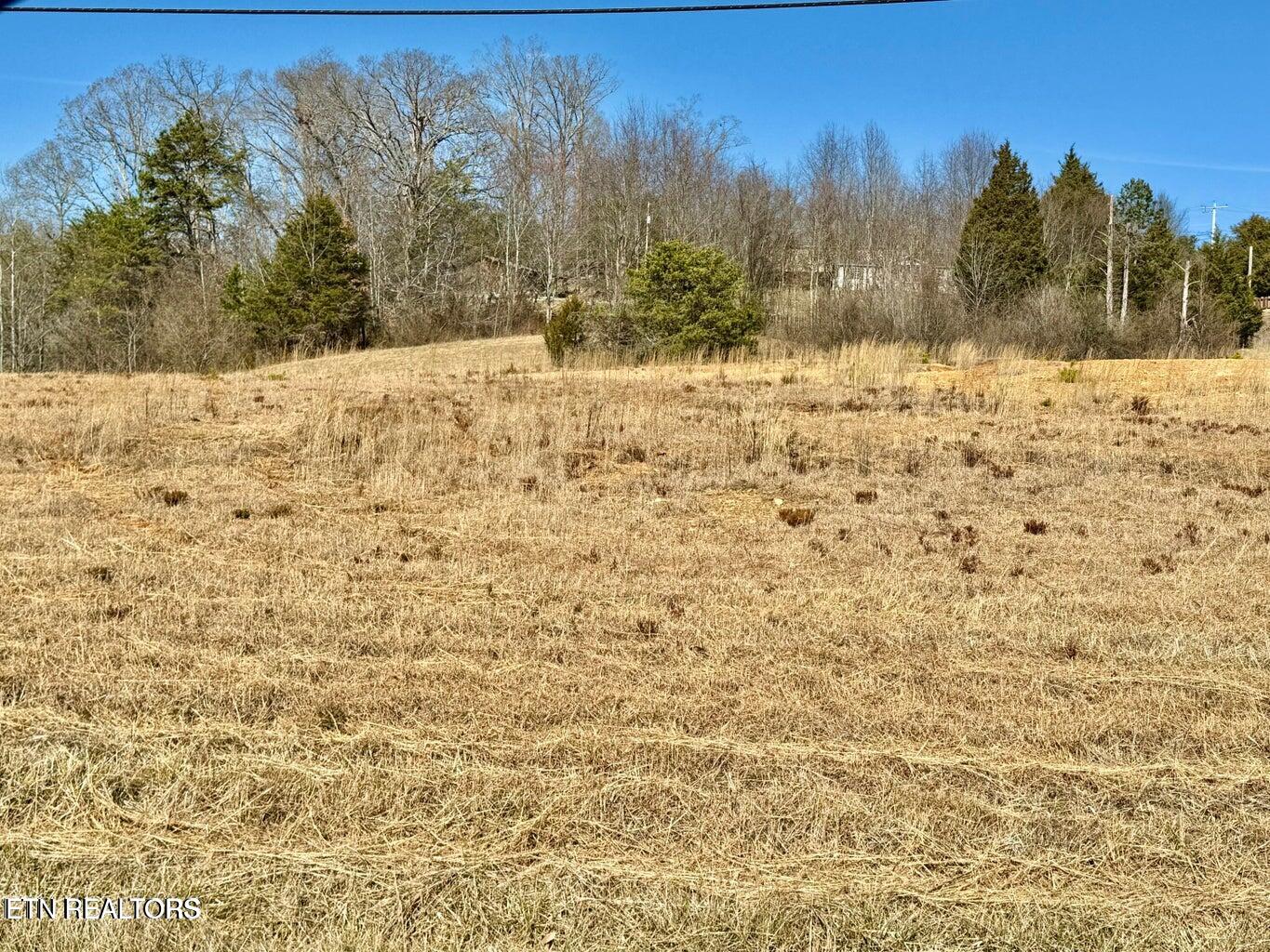 Harmon Road New Tazewell TN 37825