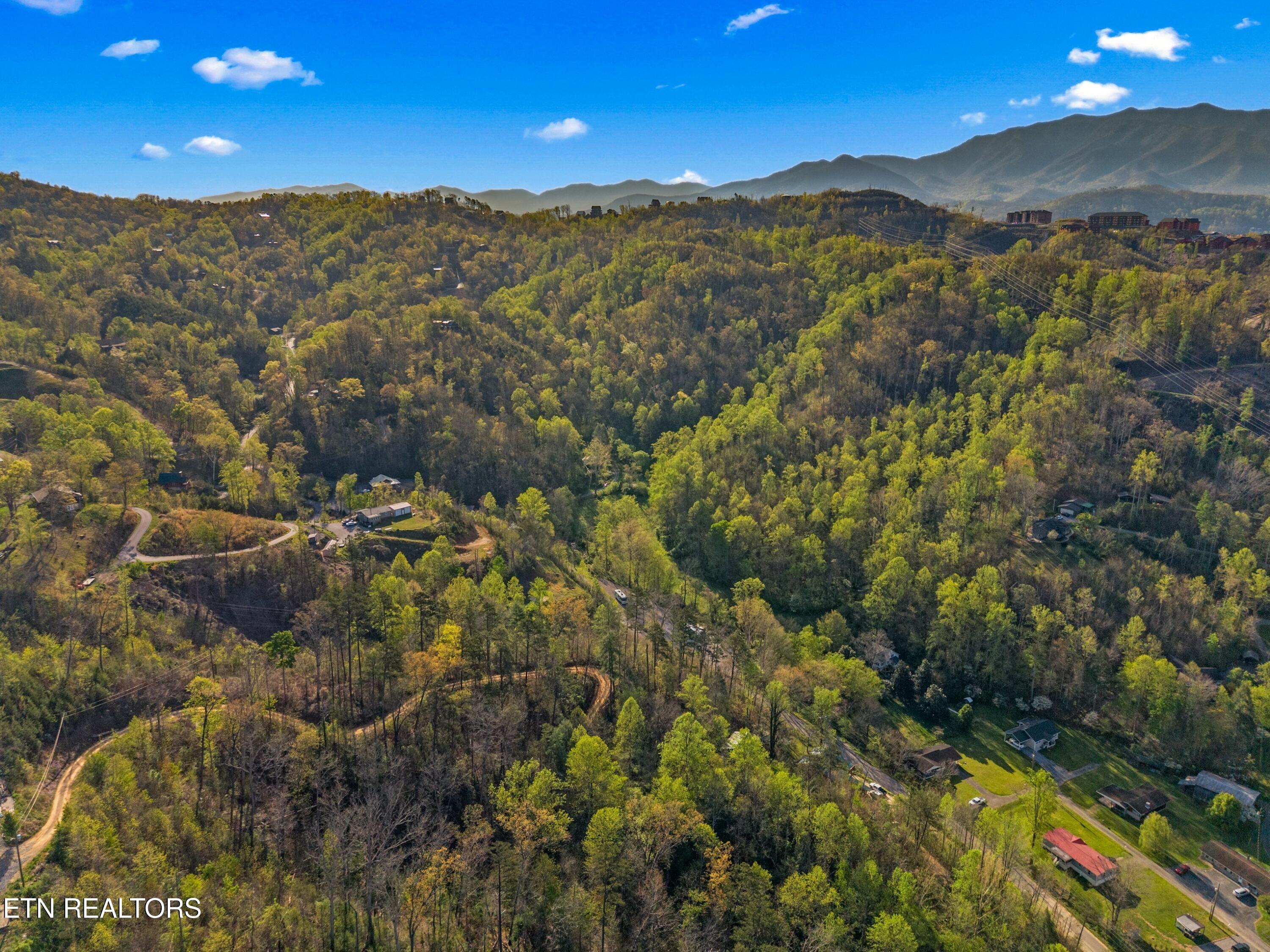 264 Beech Branch Road Gatlinburg TN 37738