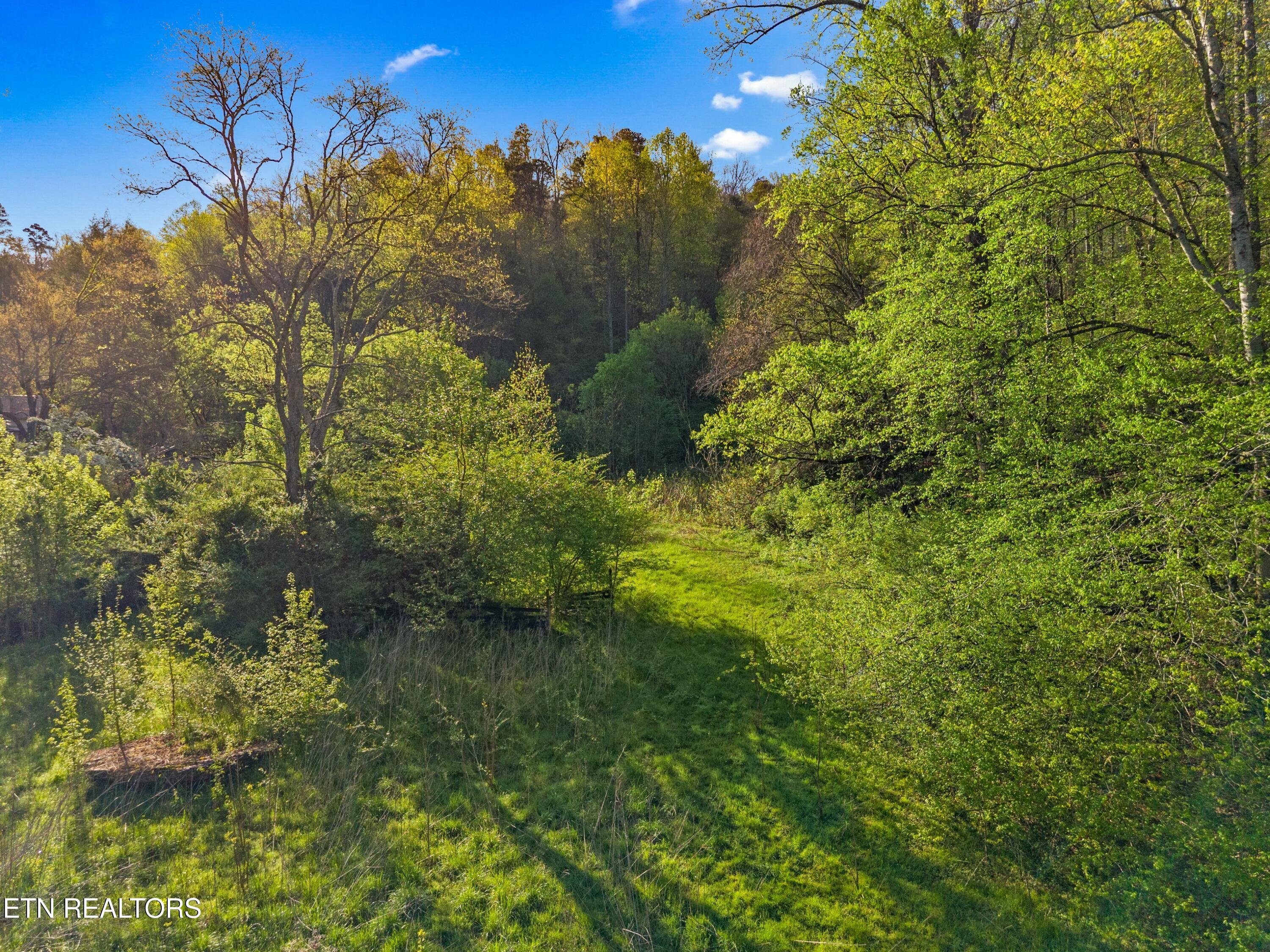 264 Beech Branch Road Gatlinburg TN 37738
