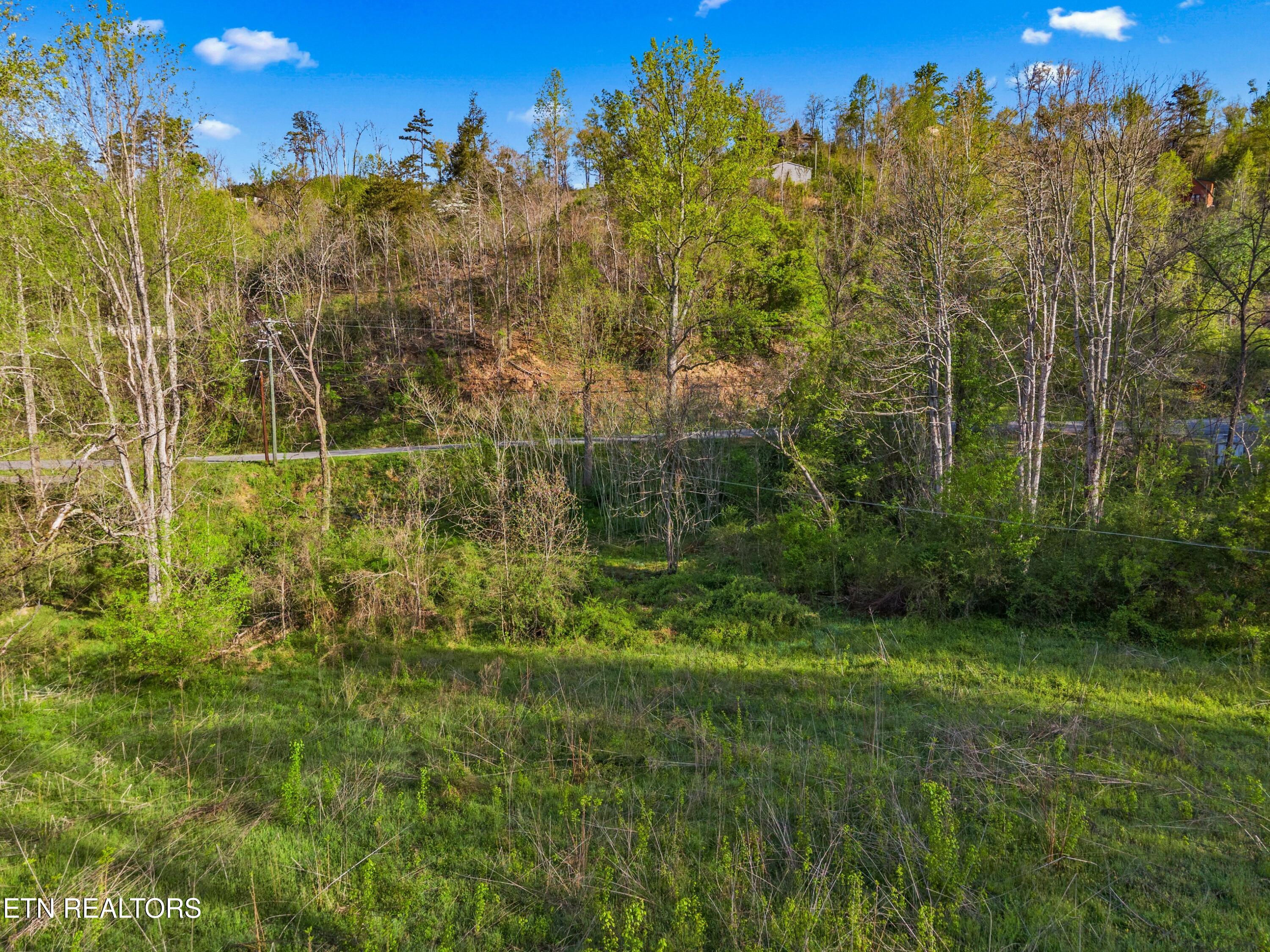 264 Beech Branch Road Gatlinburg TN 37738