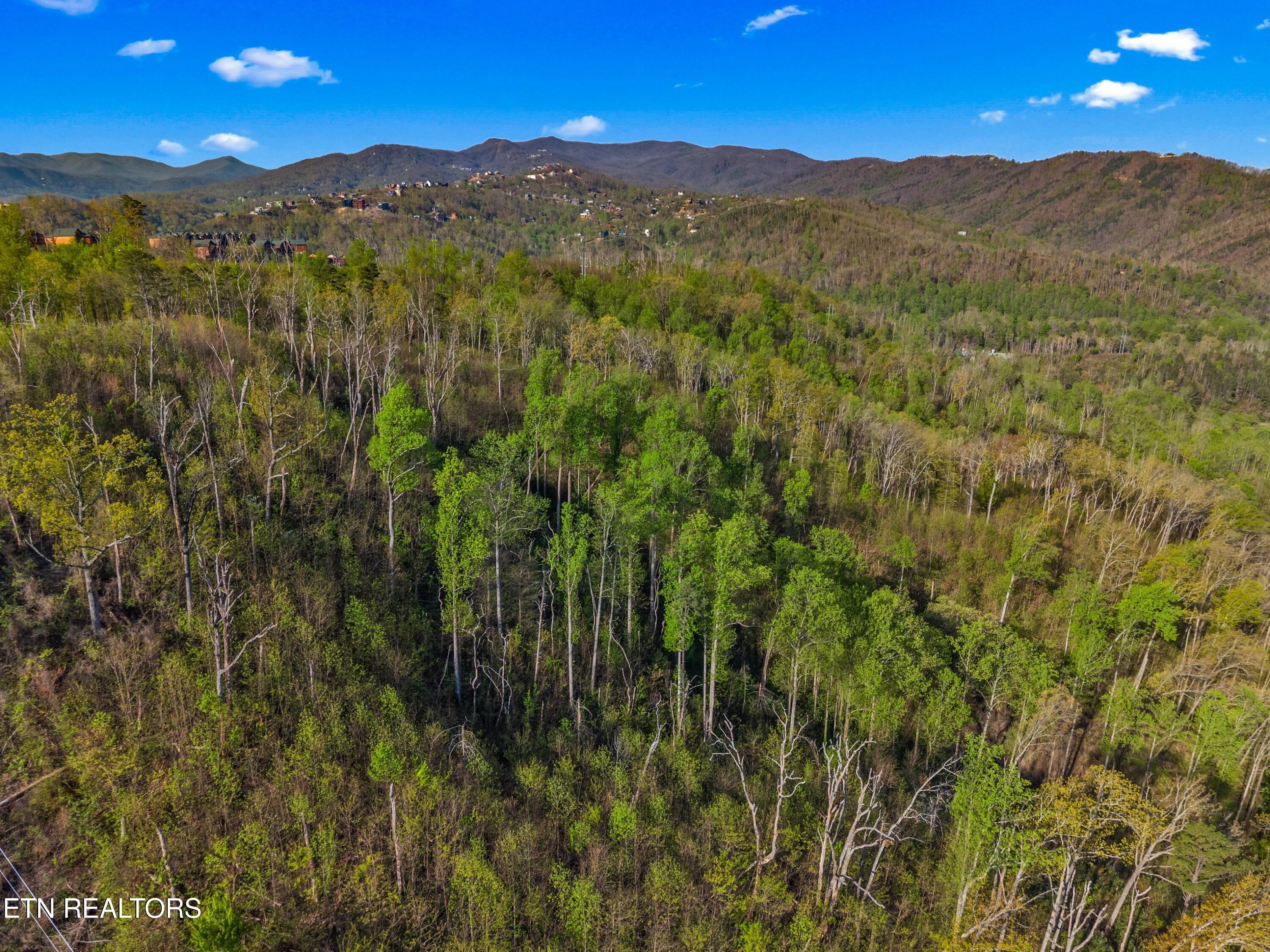 264 Beech Branch Road Gatlinburg TN 37738