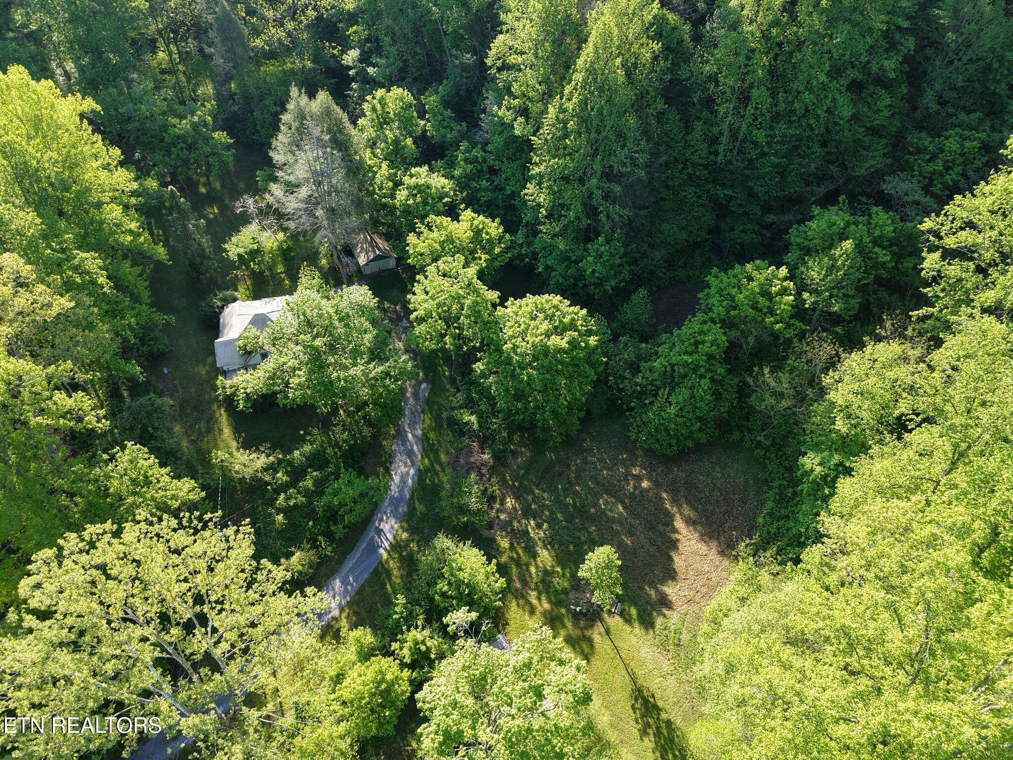 264 Beech Branch Road Gatlinburg TN 37738