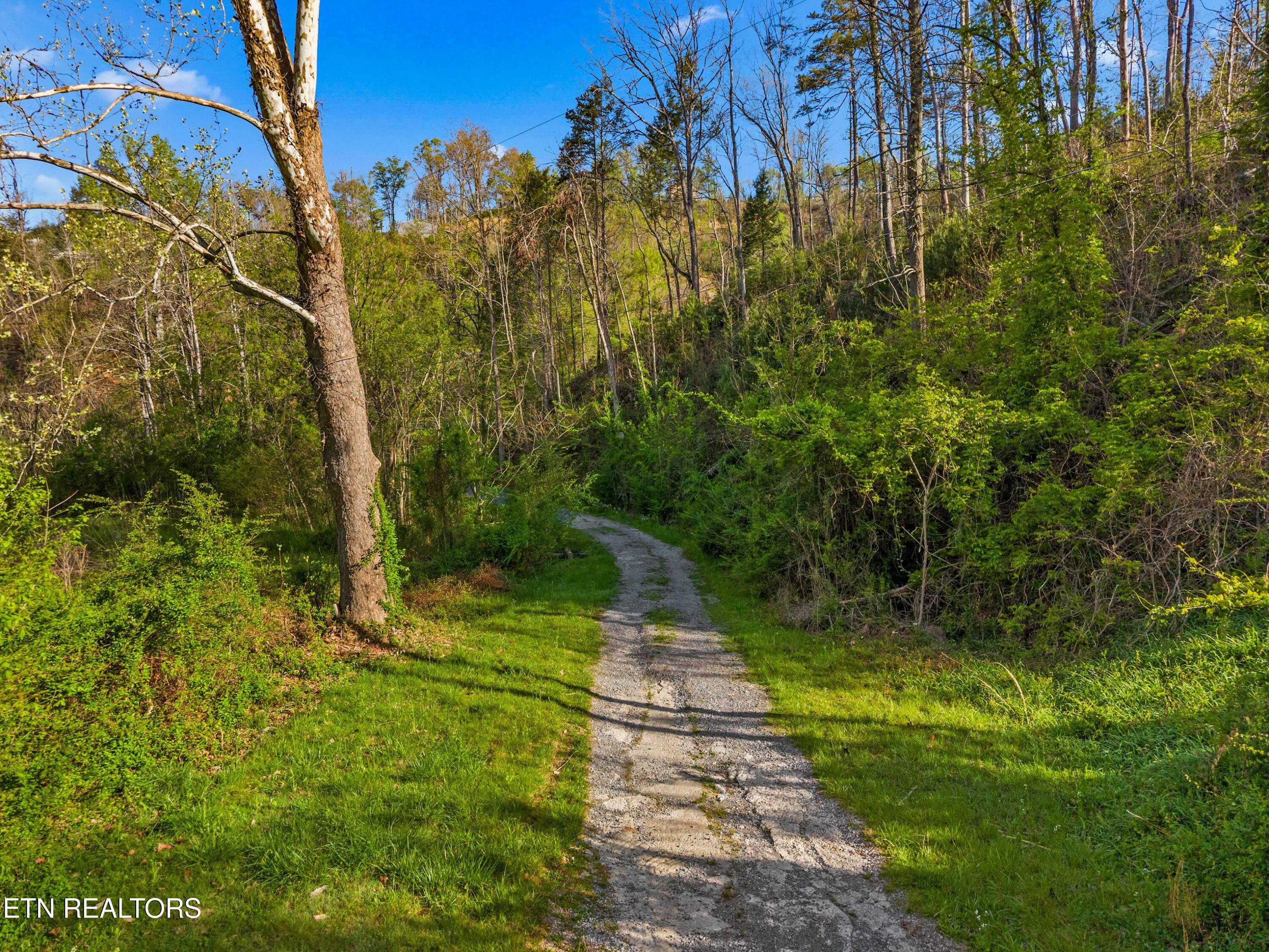 264 Beech Branch Road Gatlinburg TN 37738