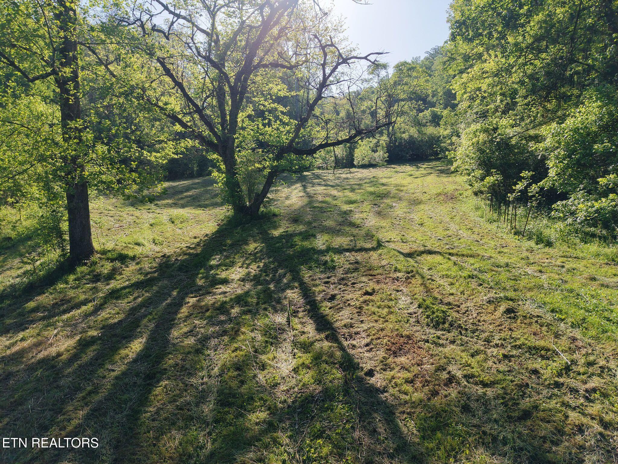 264 Beech Branch Road Gatlinburg TN 37738