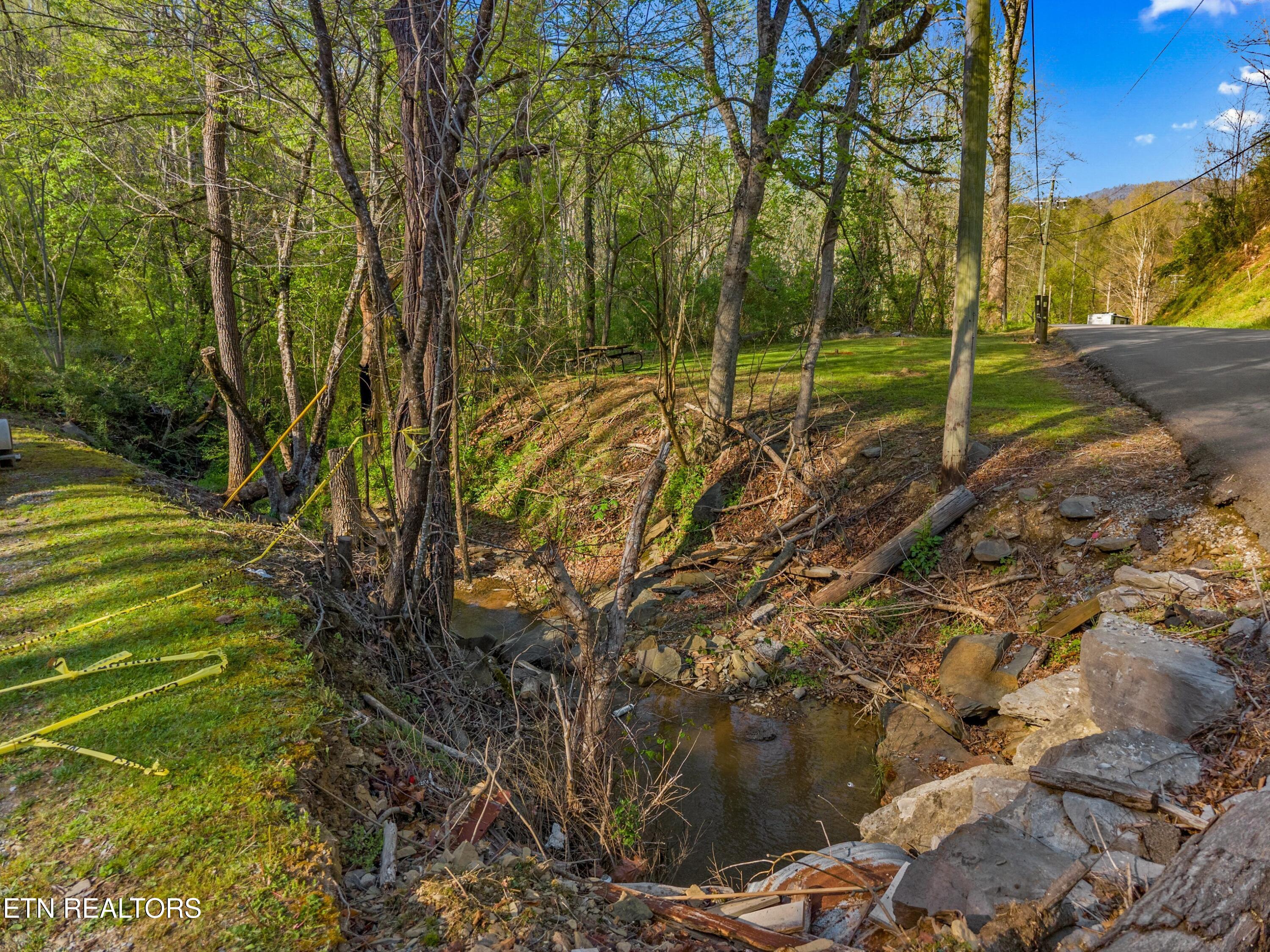 264 Beech Branch Road Gatlinburg TN 37738