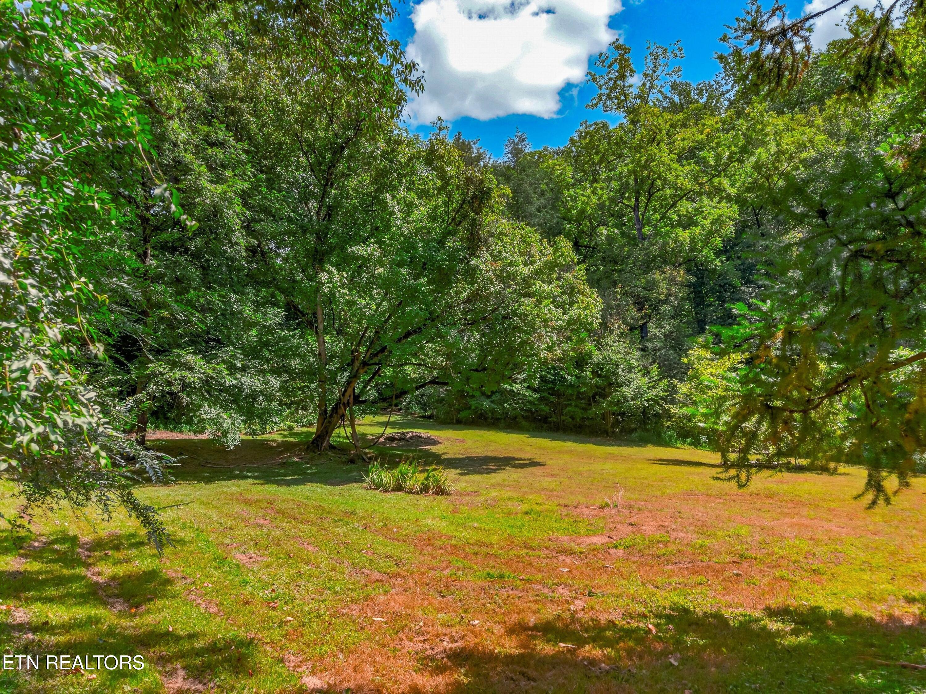 264 Beech Branch Road Gatlinburg TN 37738