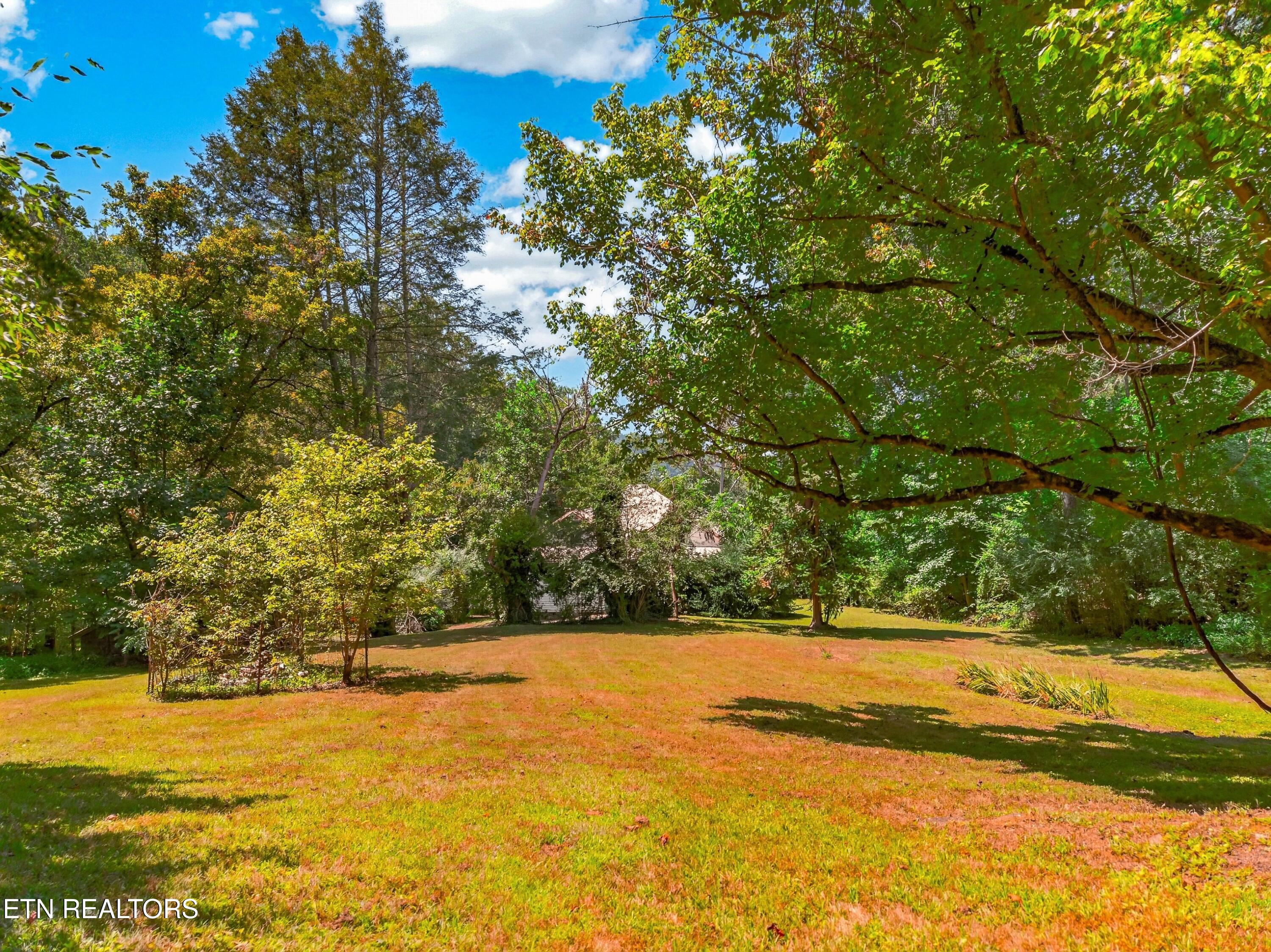 264 Beech Branch Road Gatlinburg TN 37738