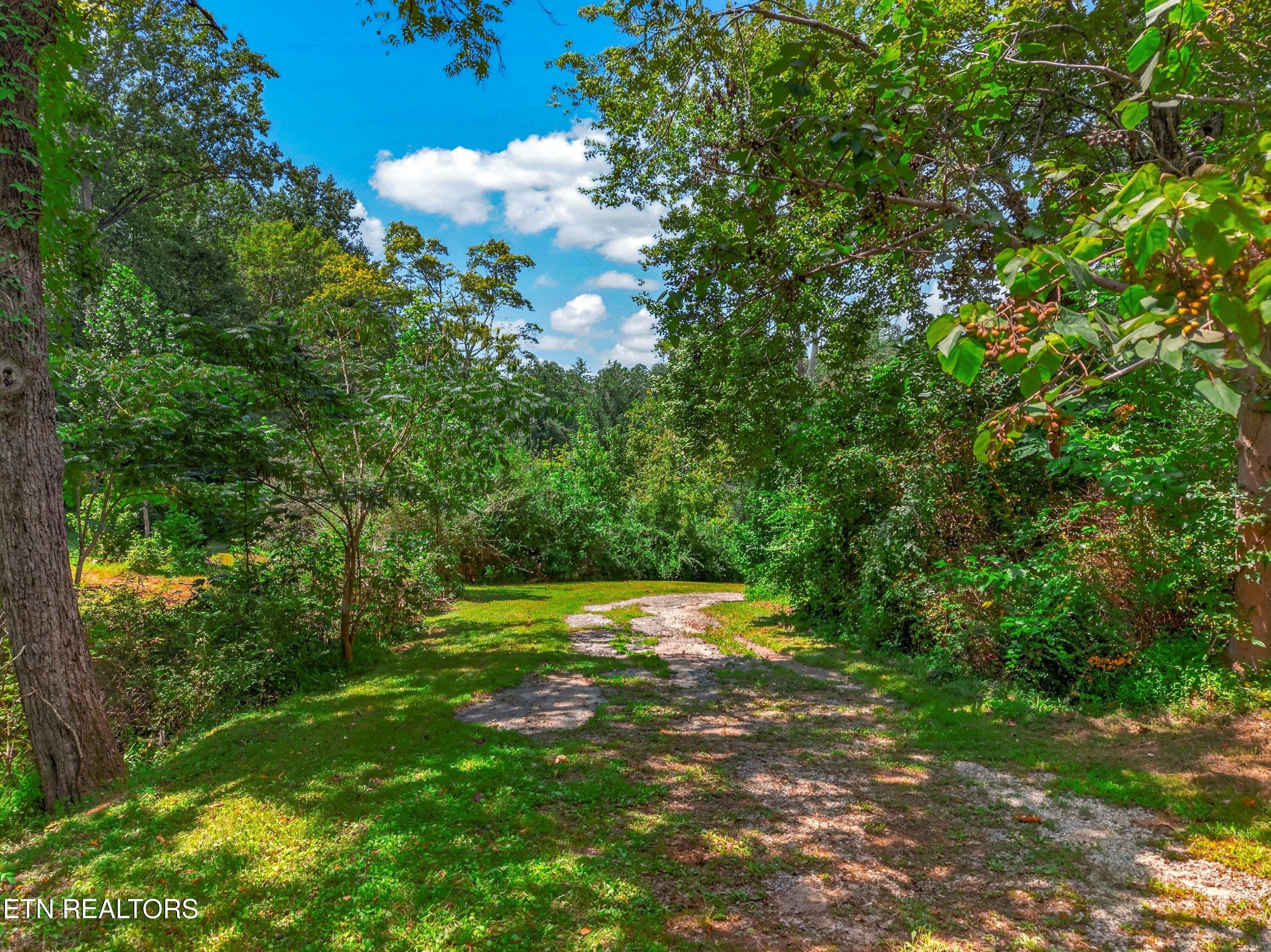 264 Beech Branch Road Gatlinburg TN 37738