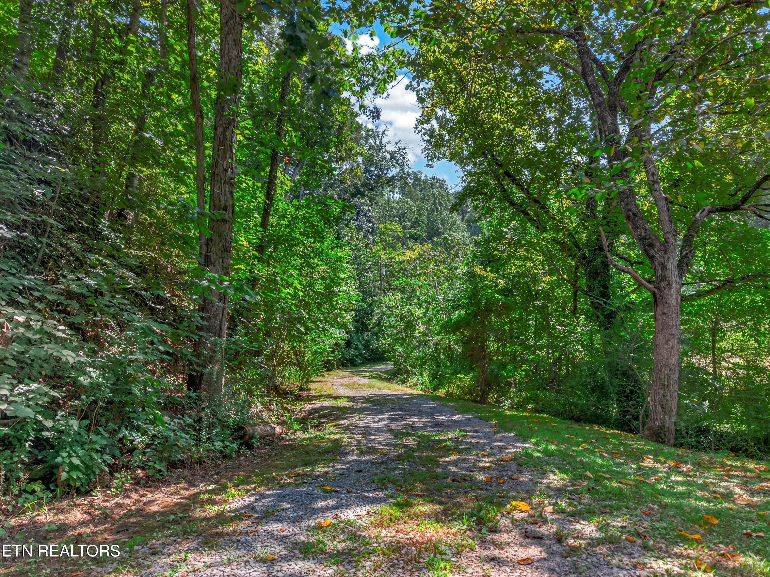 264 Beech Branch Road Gatlinburg TN 37738