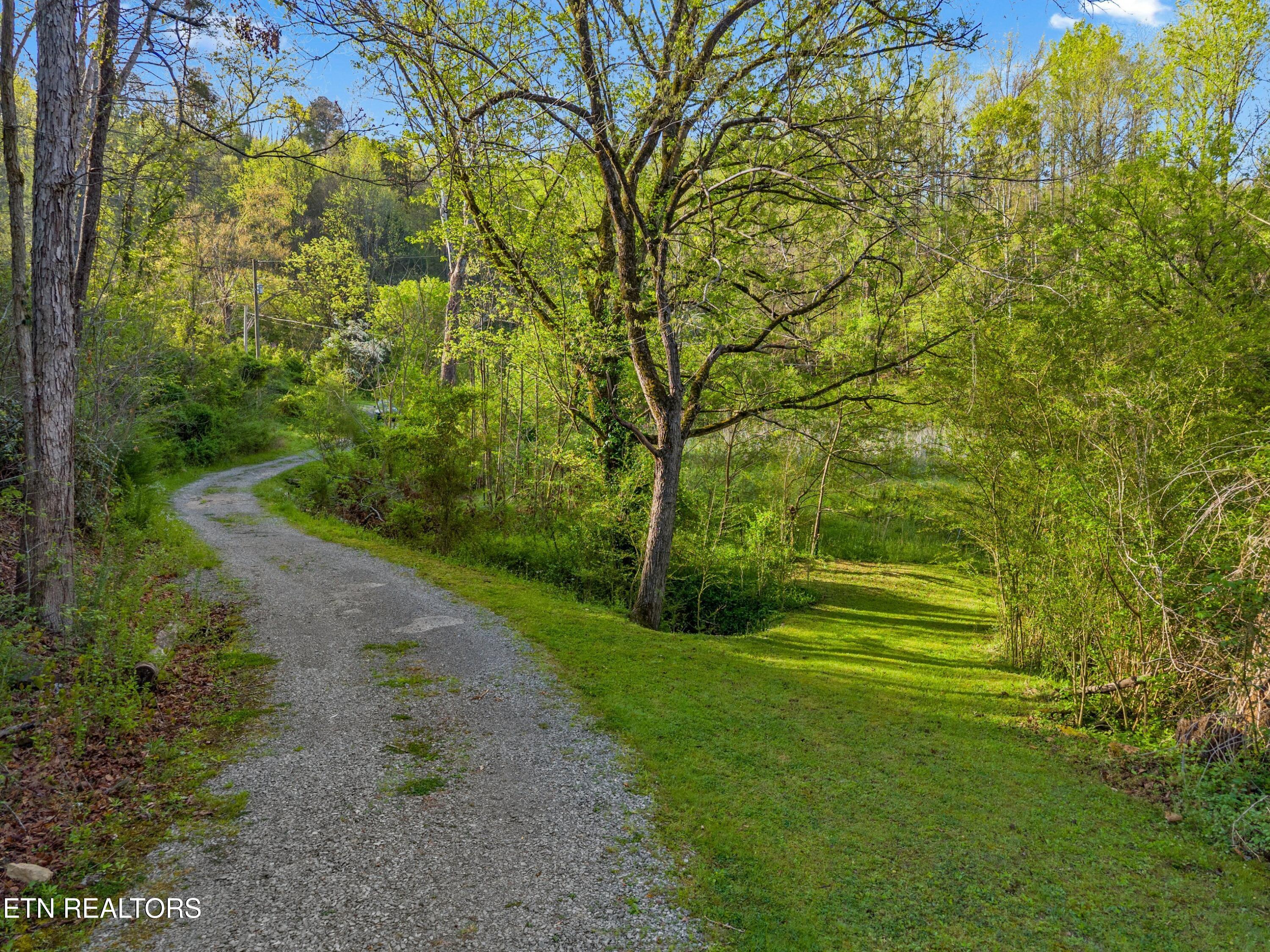 264 Beech Branch Road Gatlinburg TN 37738