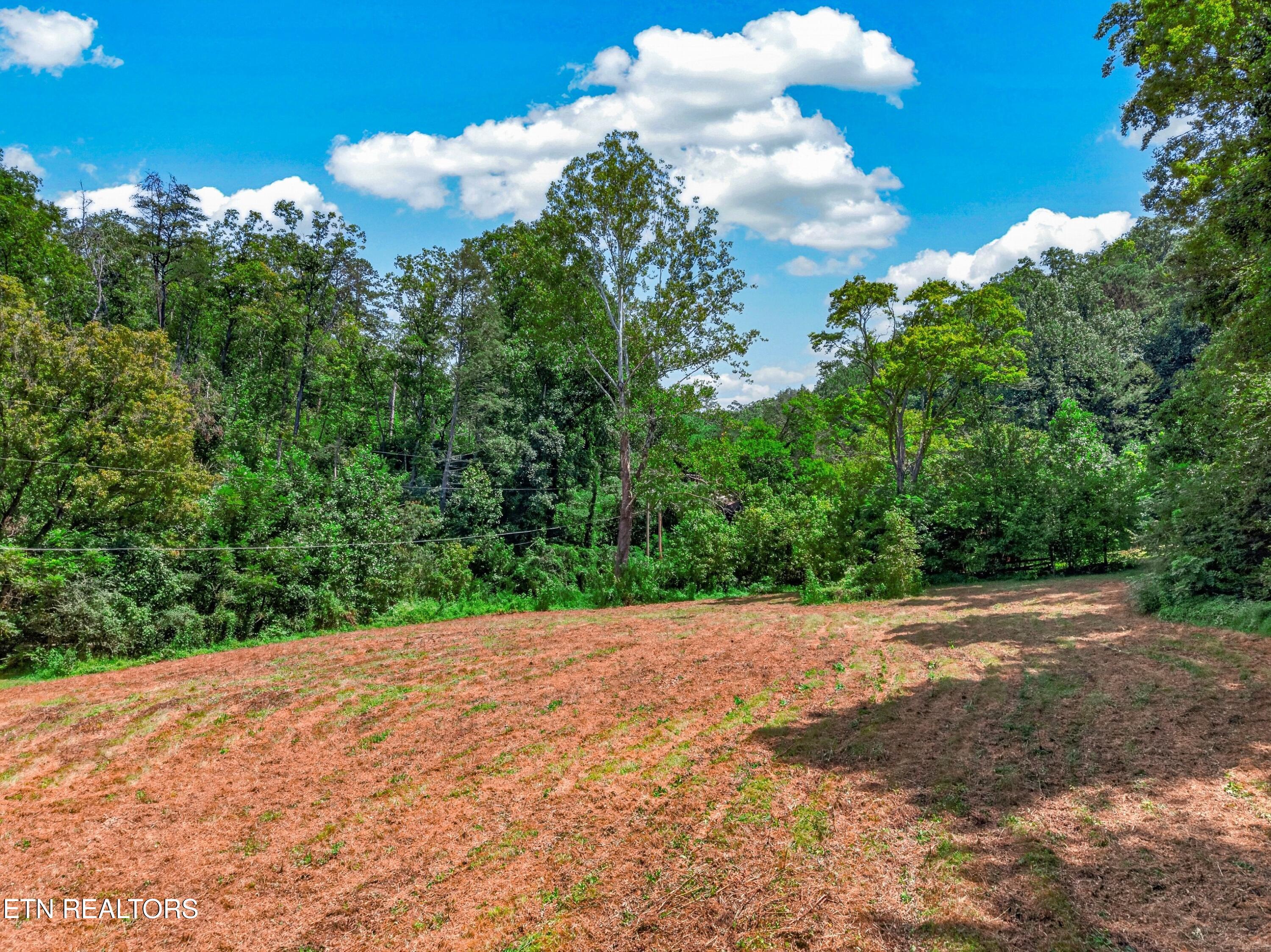 264 Beech Branch Road Gatlinburg TN 37738
