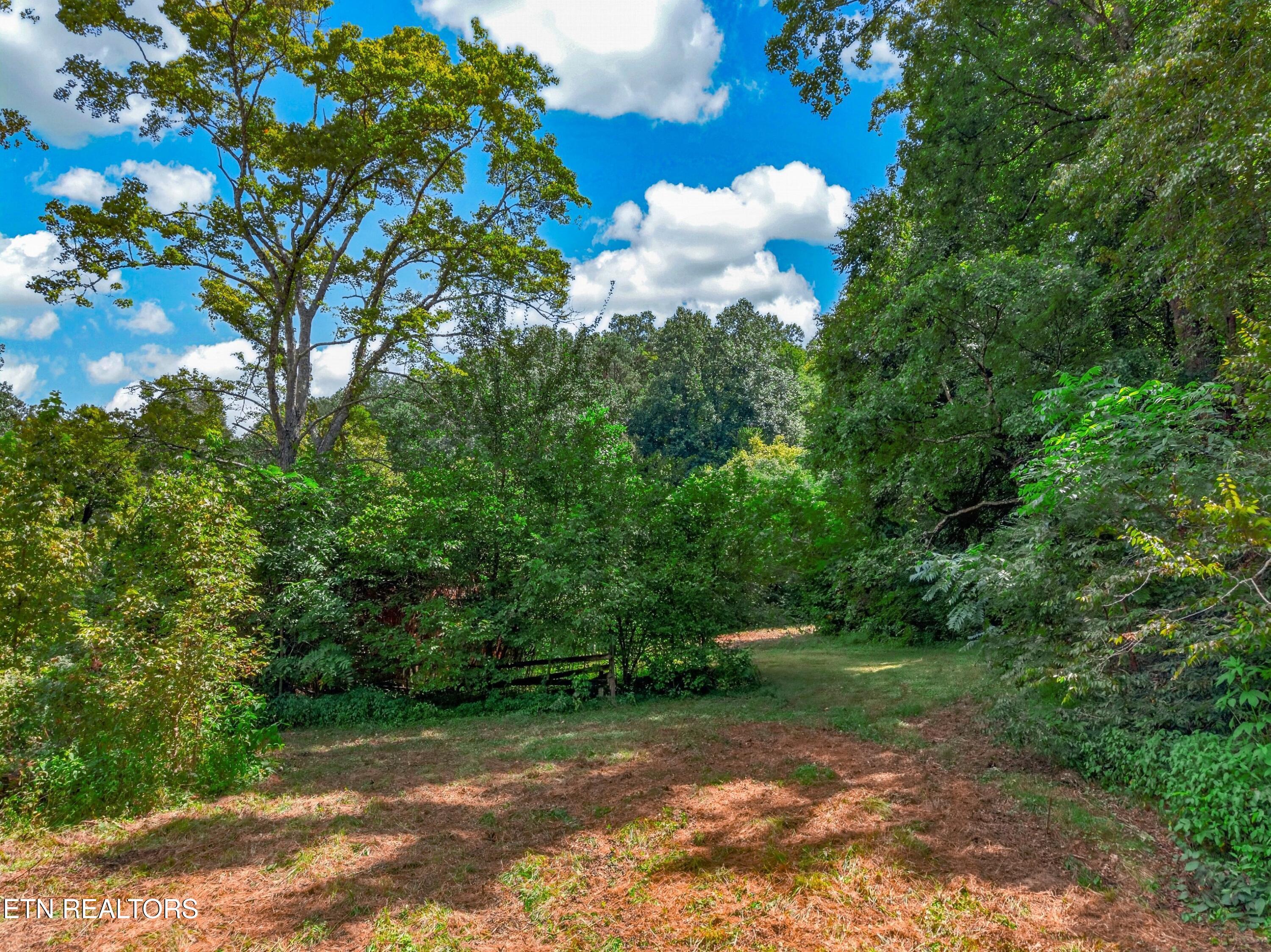 264 Beech Branch Road Gatlinburg TN 37738