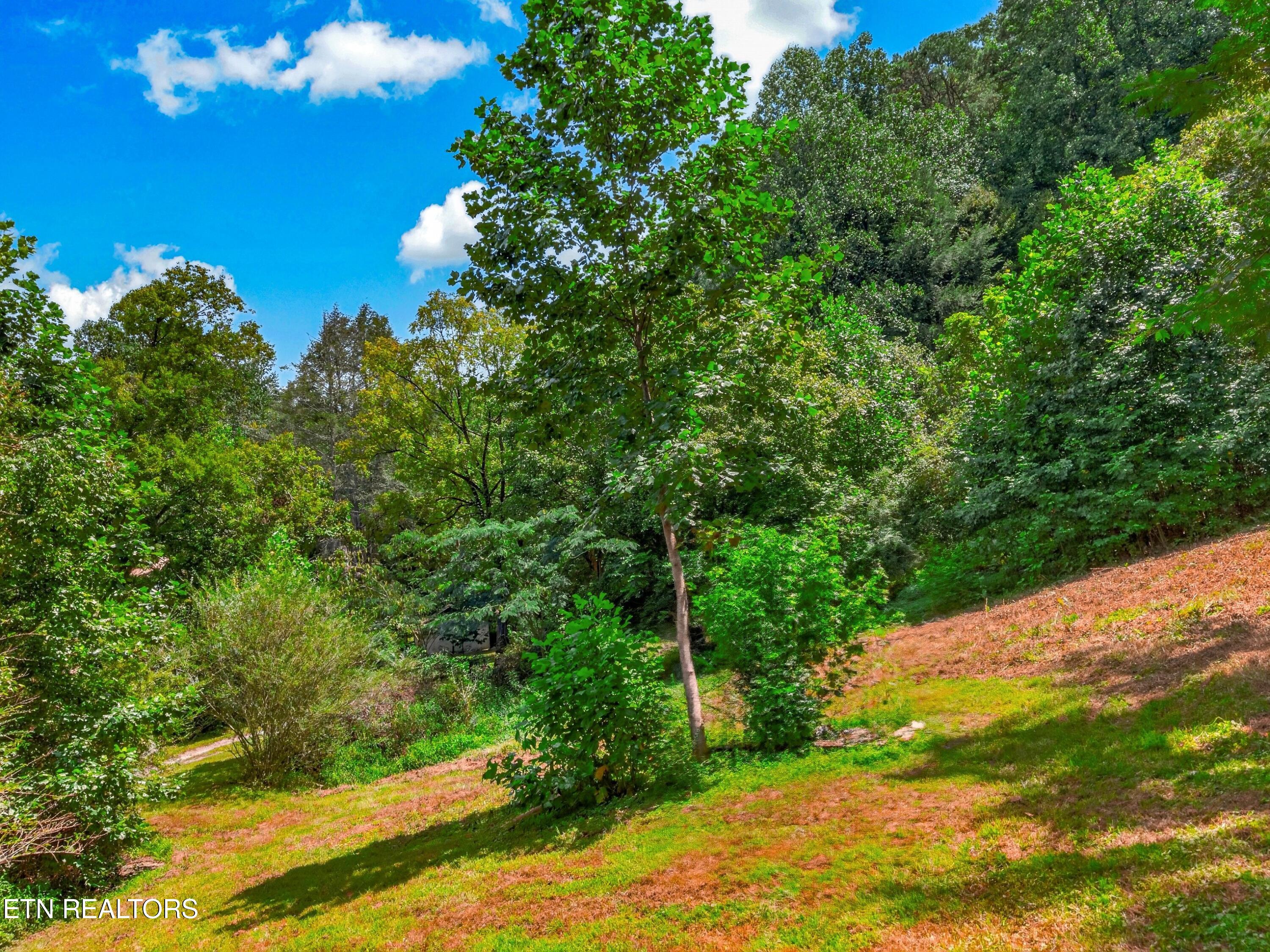 264 Beech Branch Road Gatlinburg TN 37738