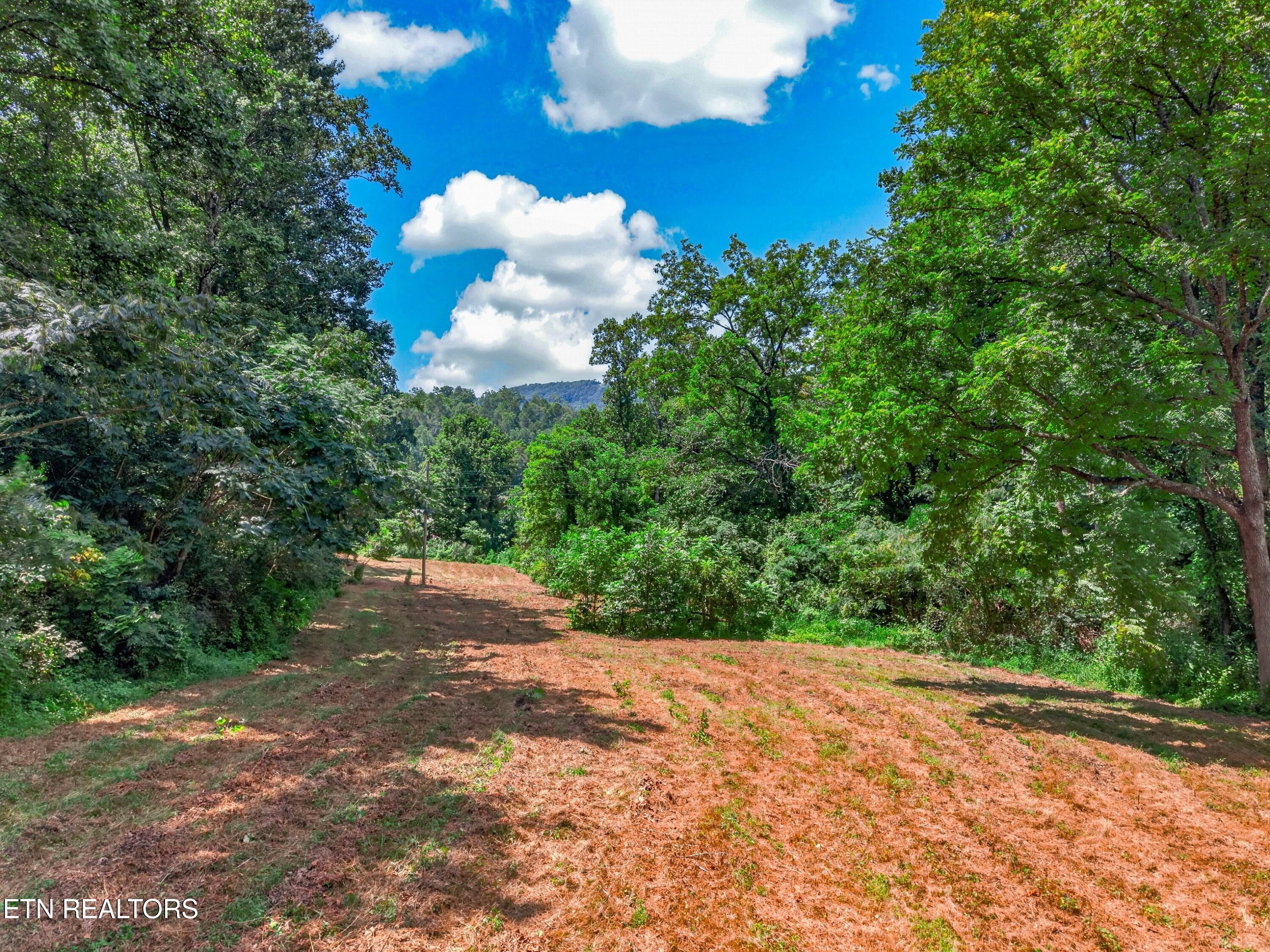 264 Beech Branch Road Gatlinburg TN 37738