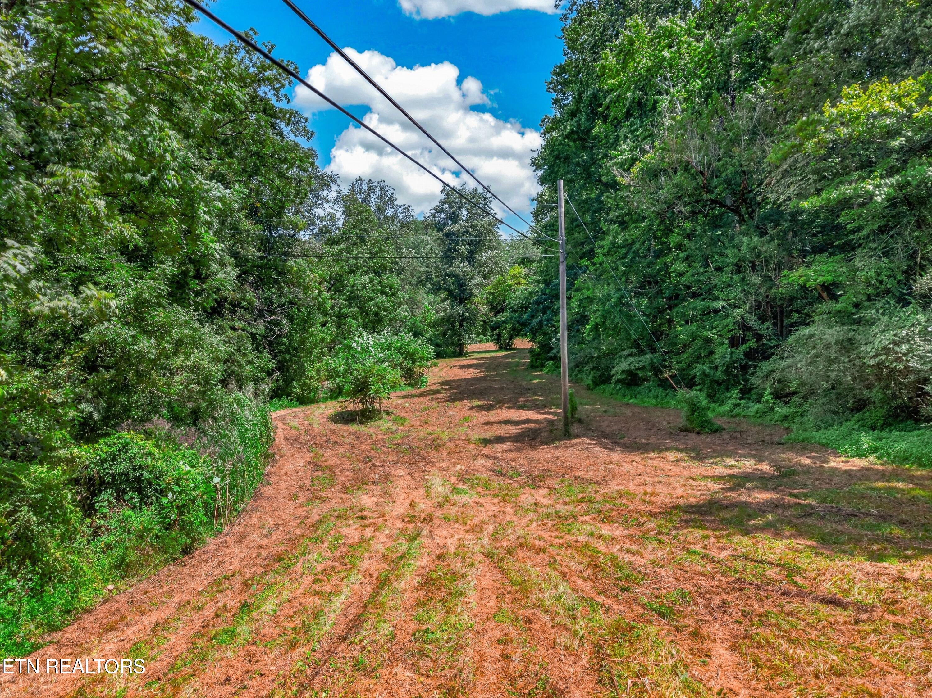 264 Beech Branch Road Gatlinburg TN 37738