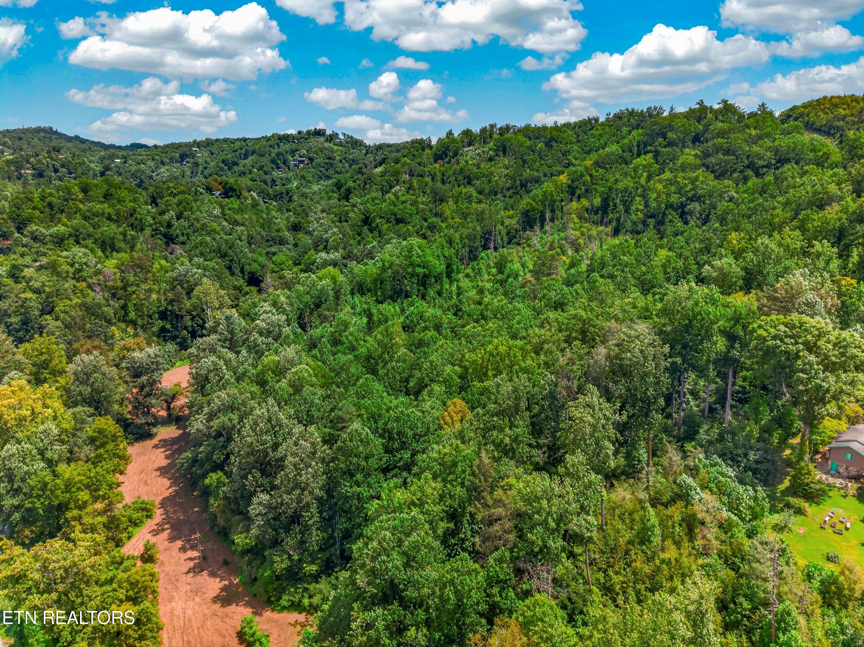 264 Beech Branch Road Gatlinburg TN 37738