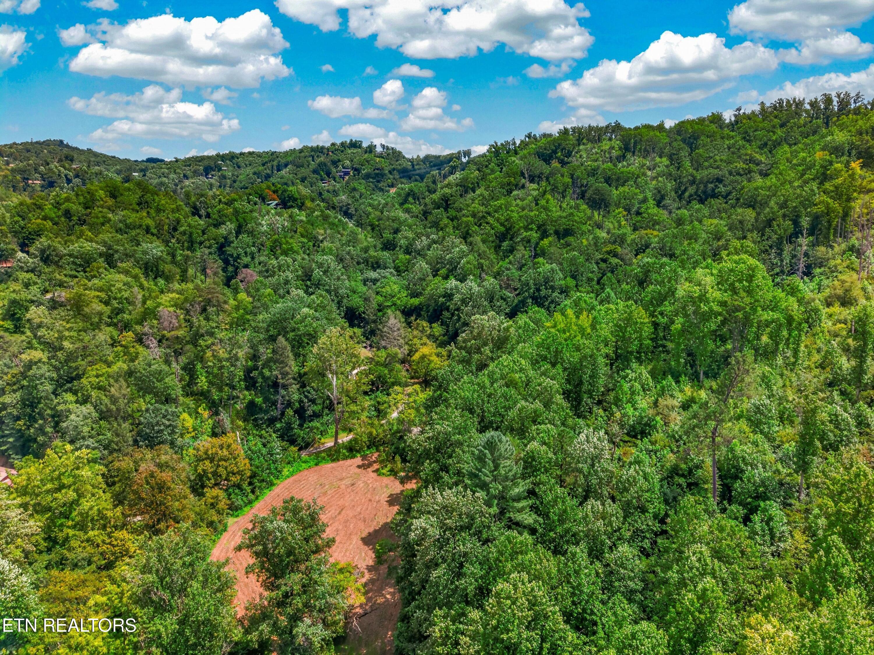 264 Beech Branch Road Gatlinburg TN 37738