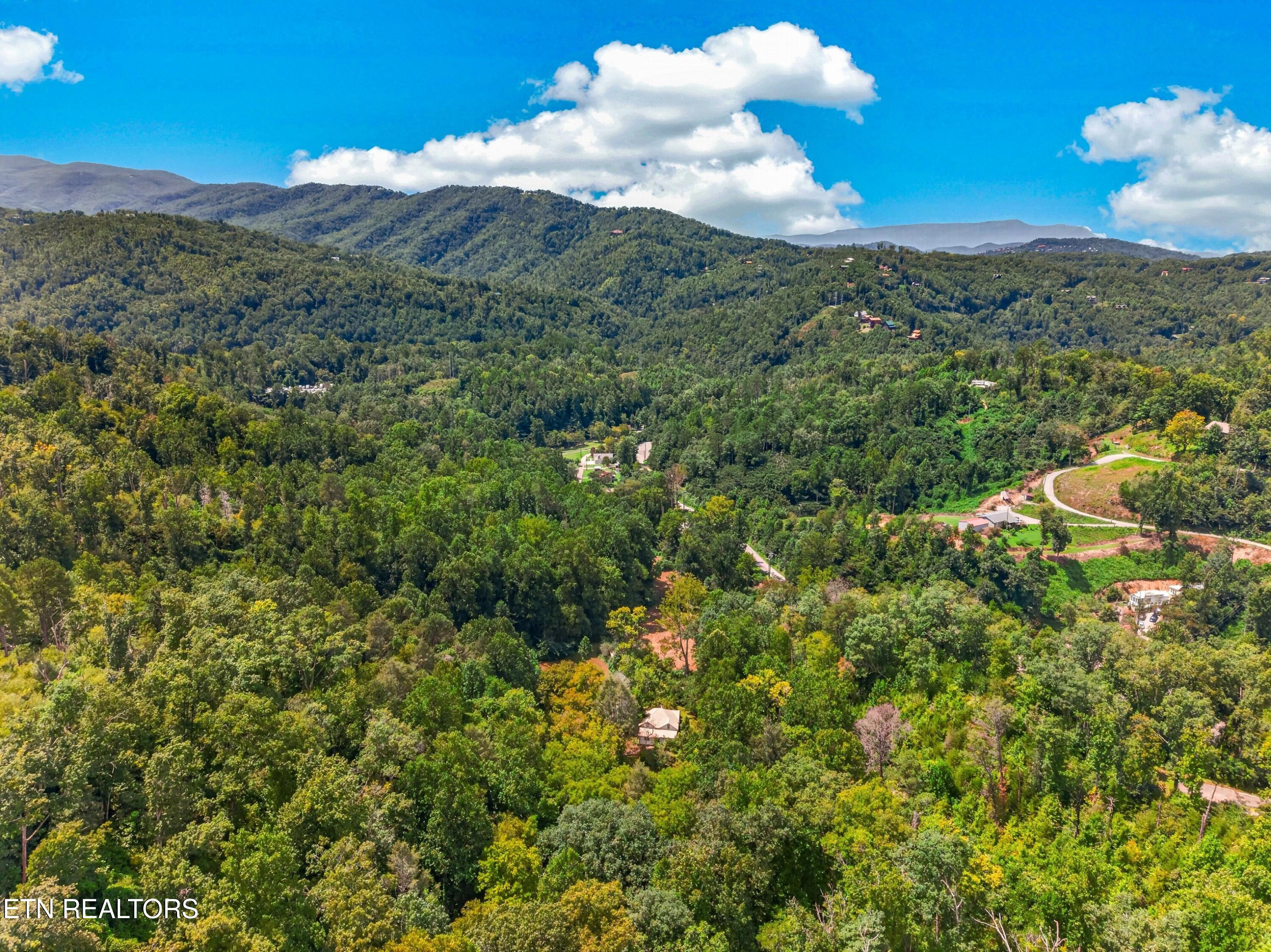 264 Beech Branch Road Gatlinburg TN 37738