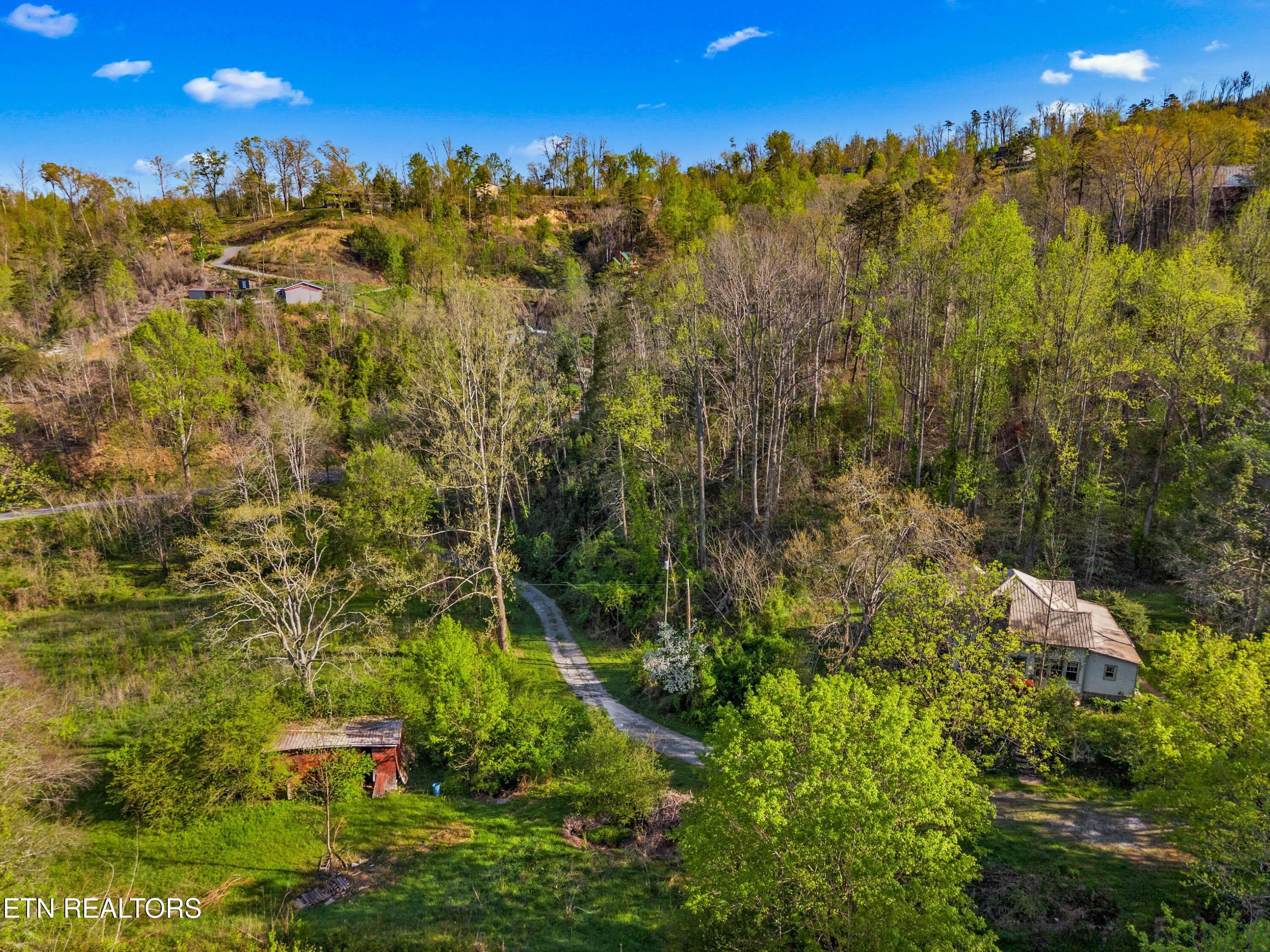 264 Beech Branch Road Gatlinburg TN 37738