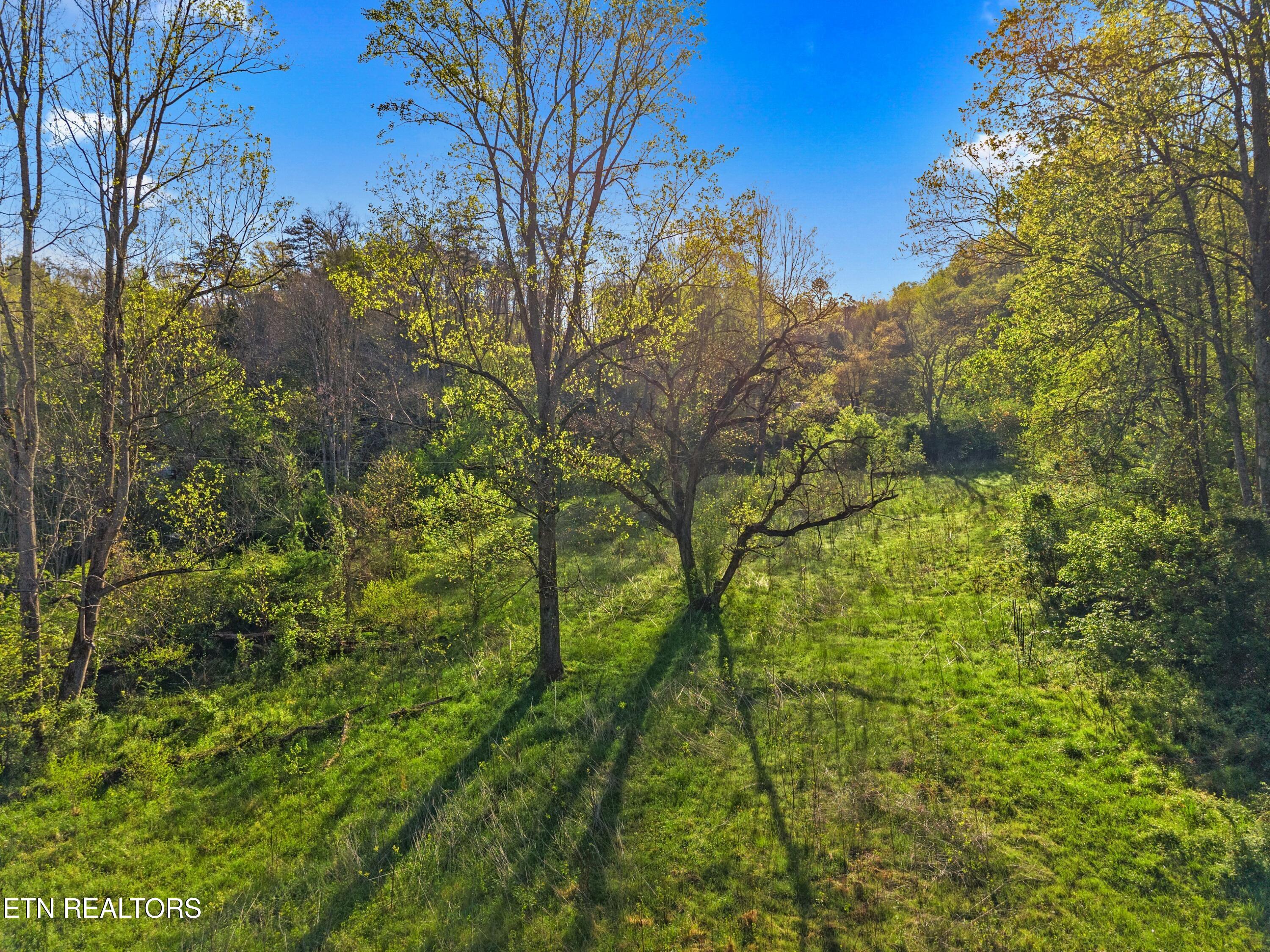 264 Beech Branch Road Gatlinburg TN 37738