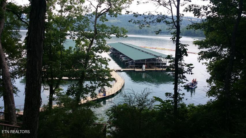 Mica Court New Tazewell TN 37825