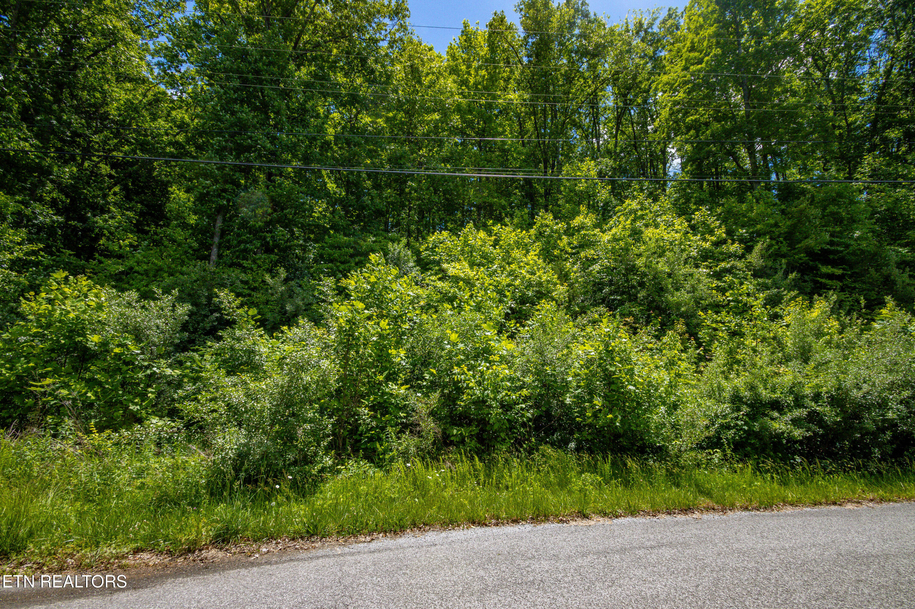 Lot 18 Saddleridge Speedwell TN 37870