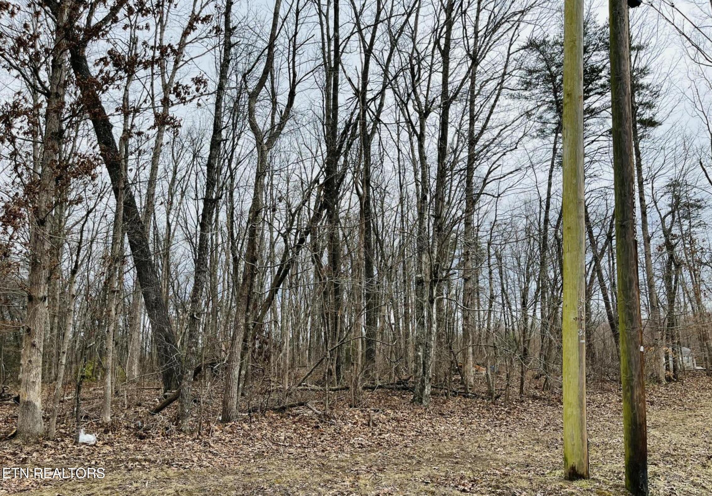 Diane Circle Crossville TN 38572
