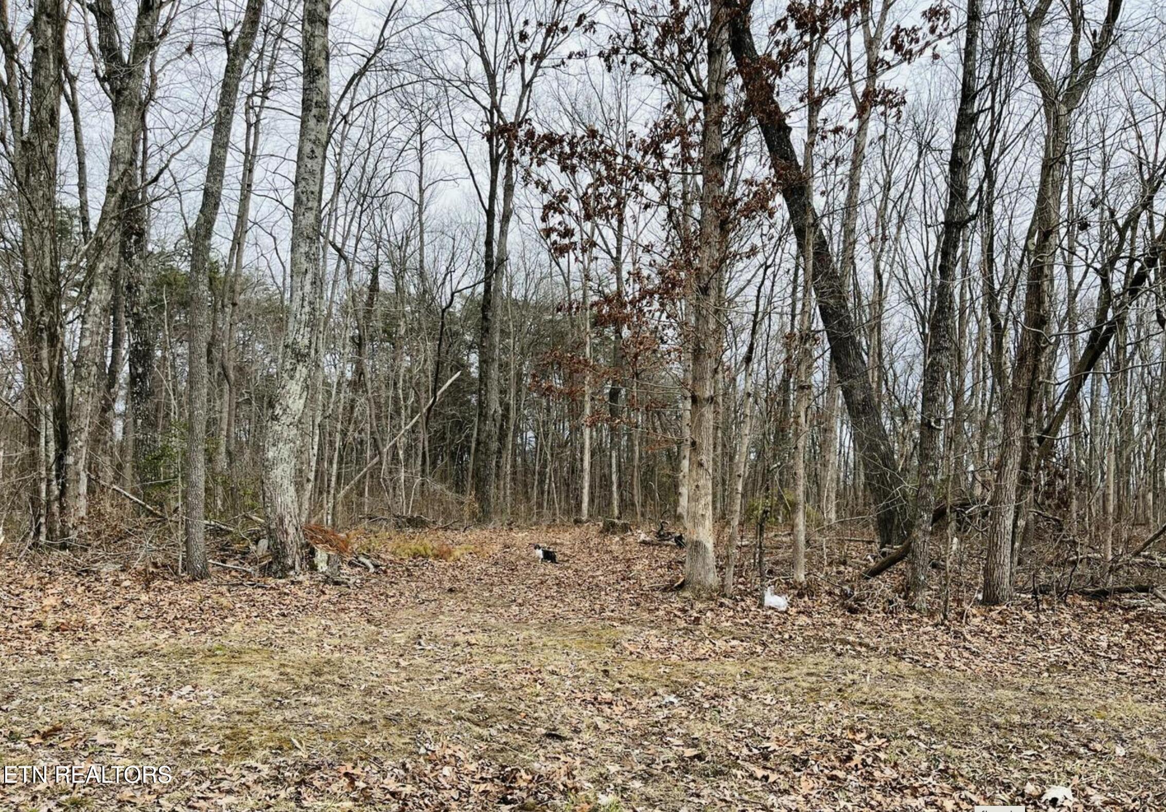 Diane Circle Crossville TN 38572