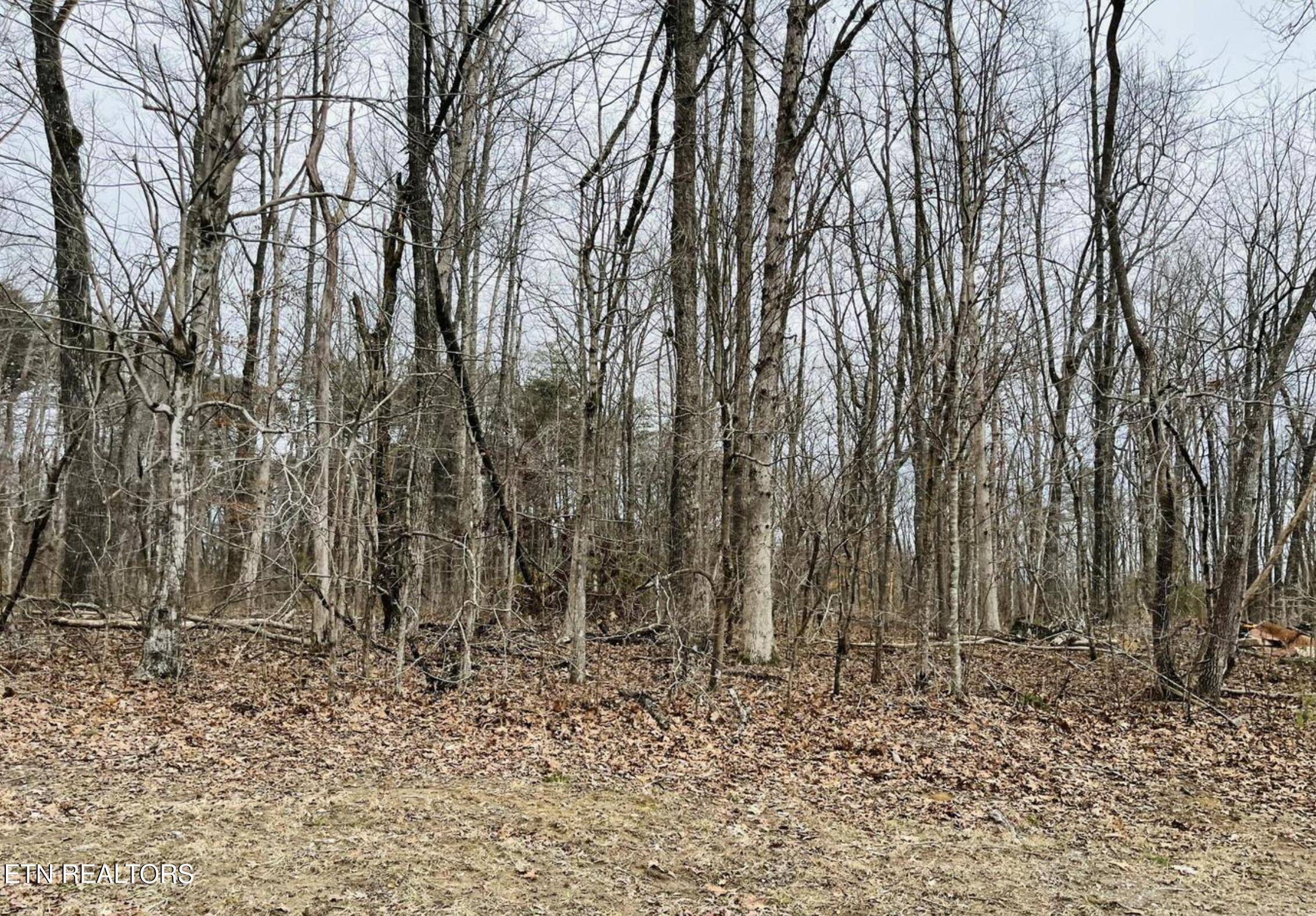 Diane Circle Crossville TN 38572