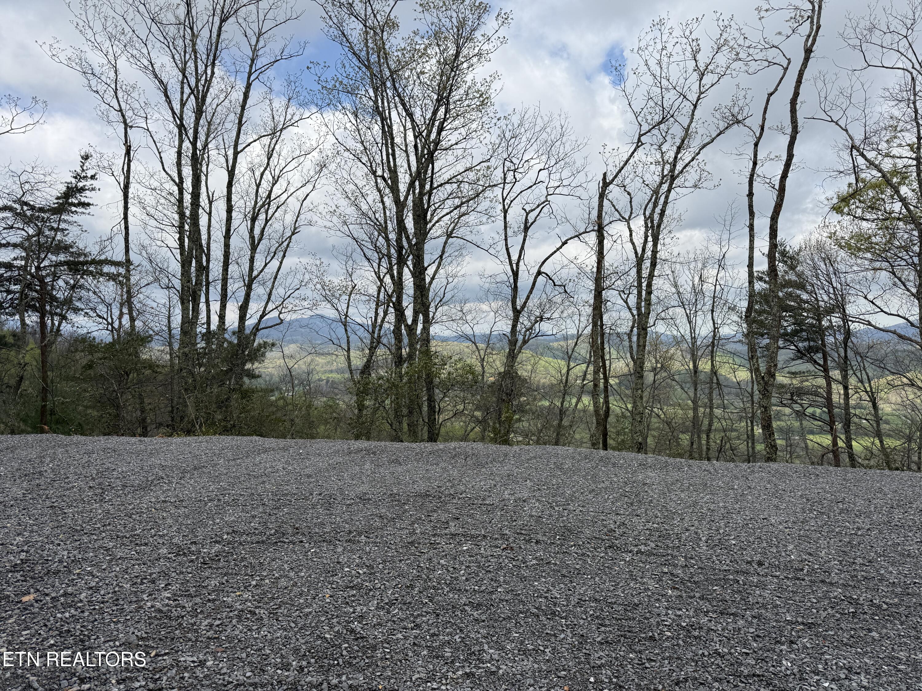3.93 Acres Green Forest Road Cosby TN 37722