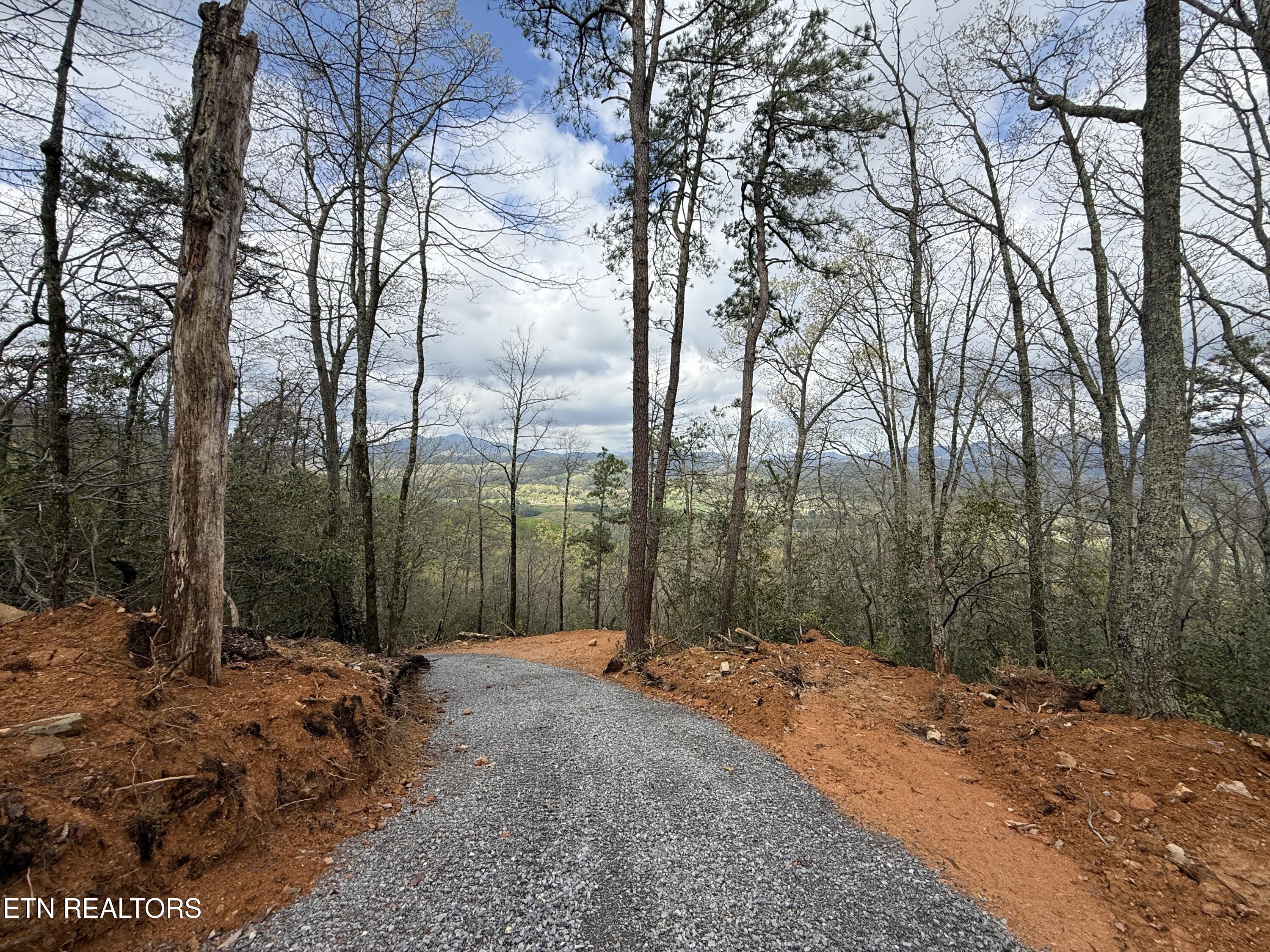 3.93 Acres Green Forest Road Cosby TN 37722