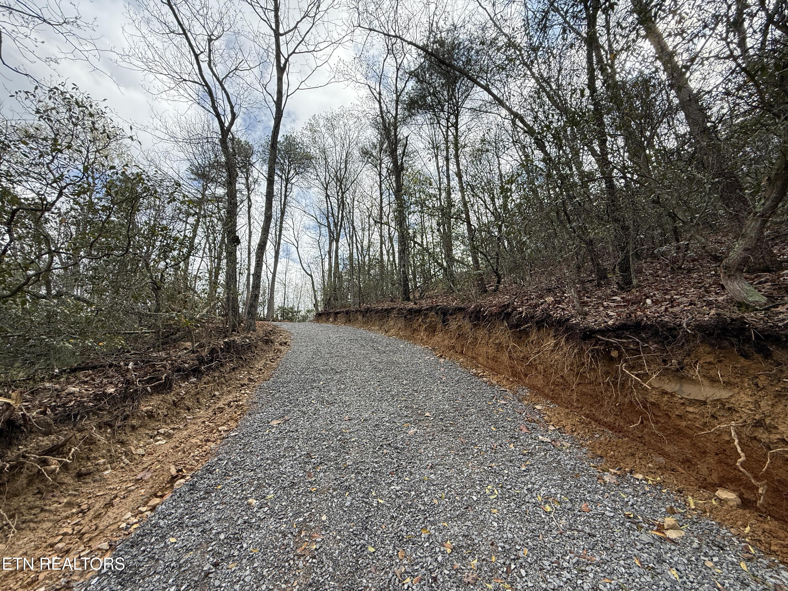 3.93 Acres Green Forest Road Cosby TN 37722