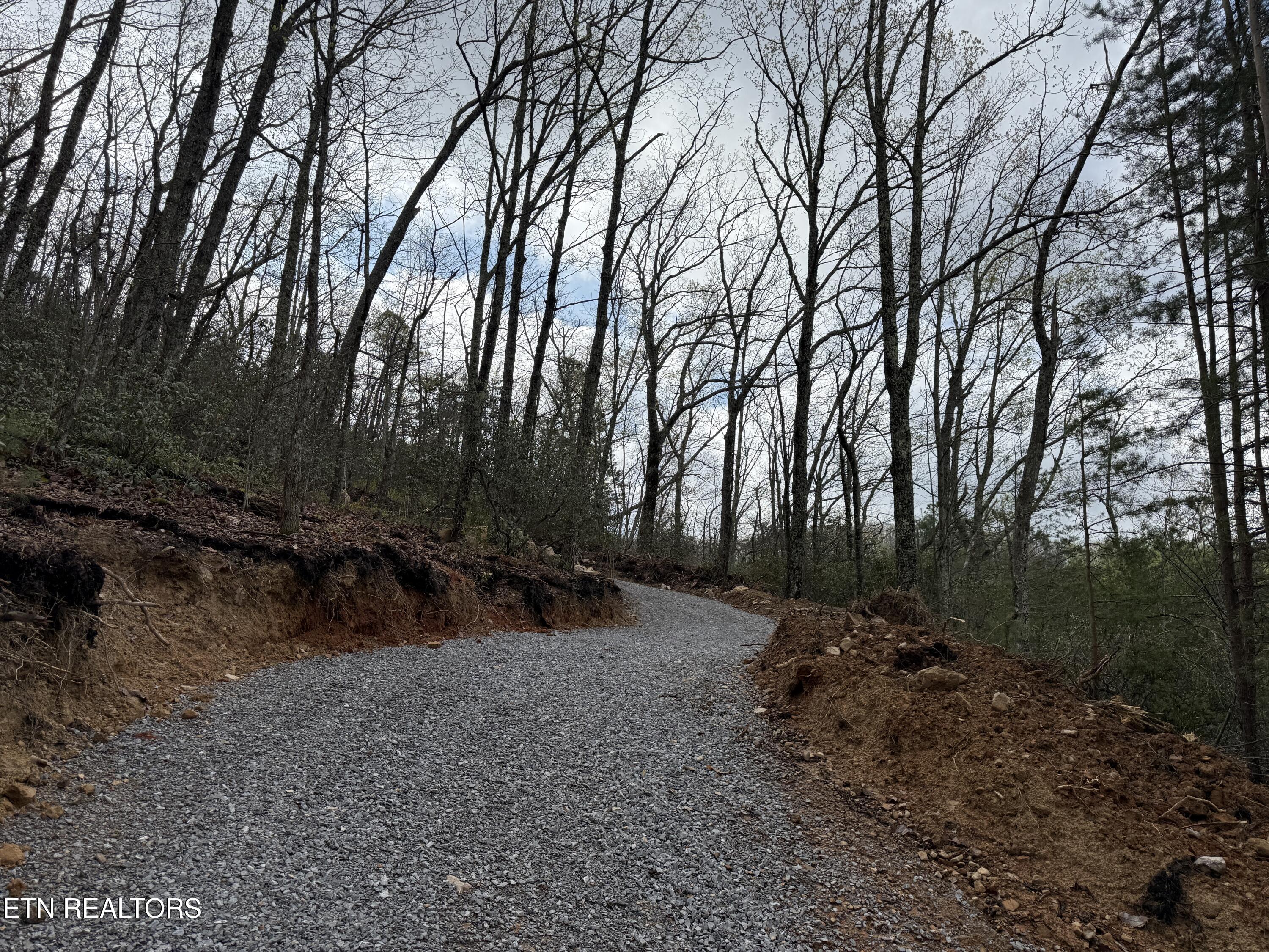 3.93 Acres Green Forest Road Cosby TN 37722