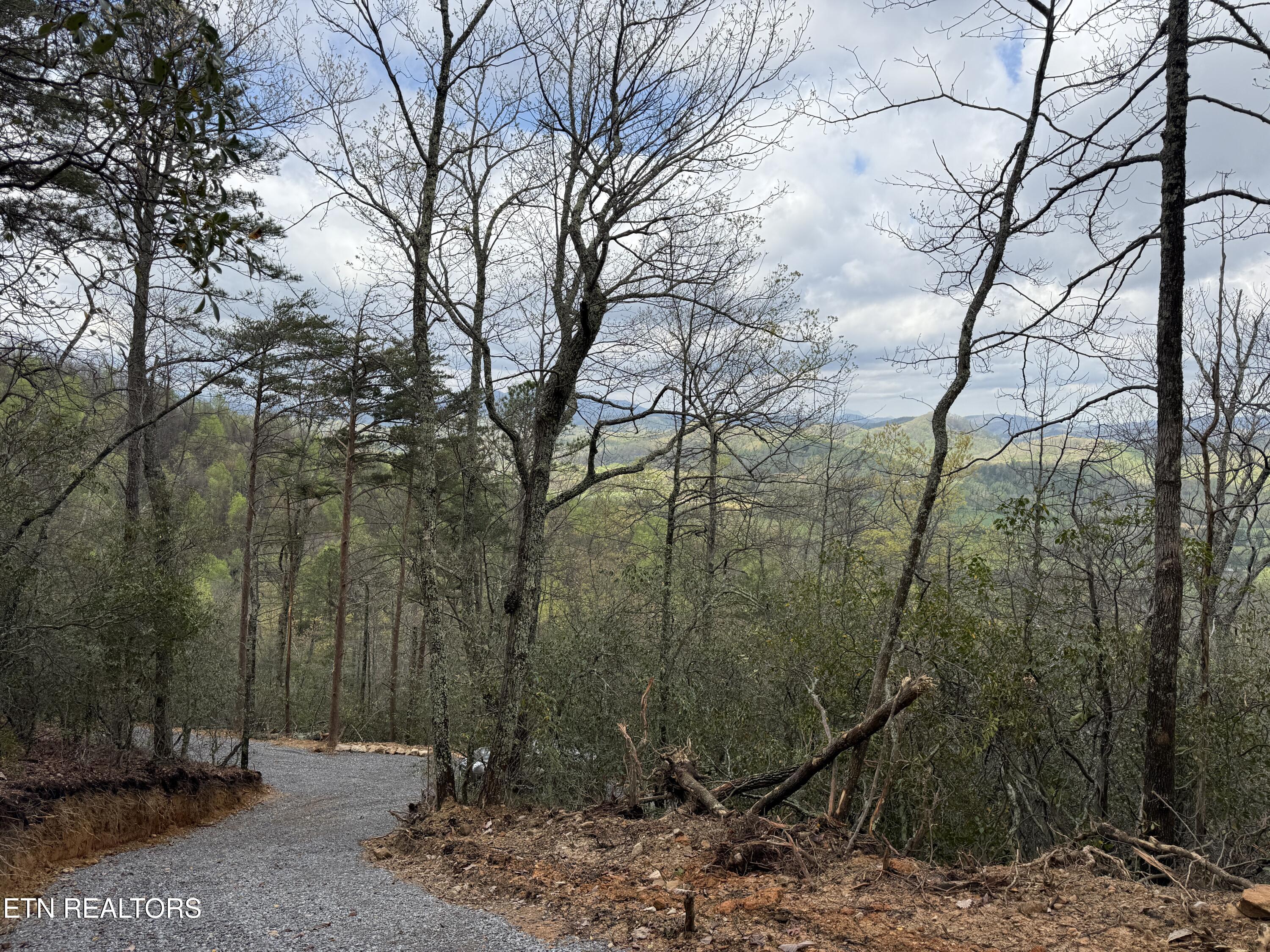 3.93 Acres Green Forest Road Cosby TN 37722