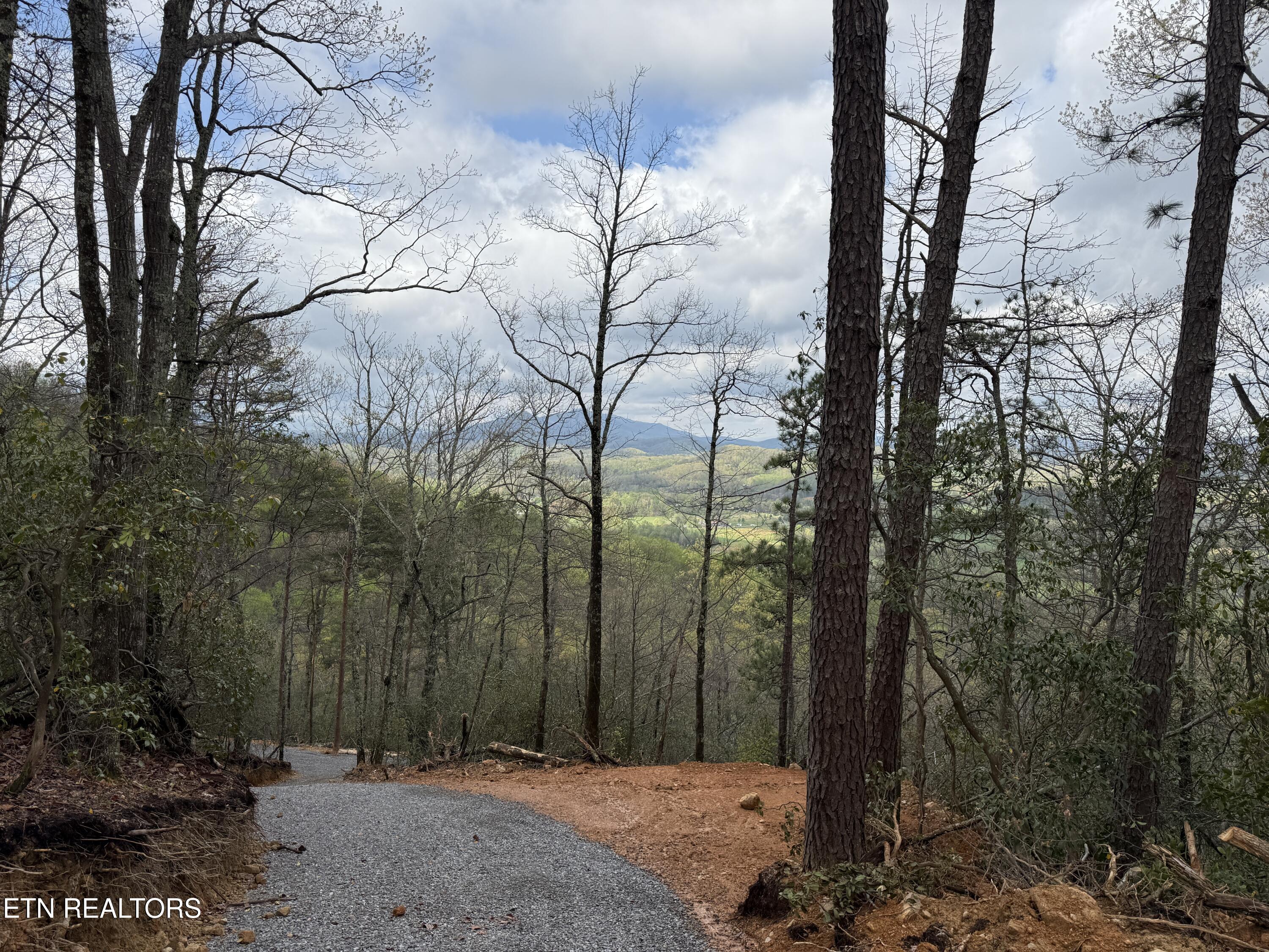 3.93 Acres Green Forest Road Cosby TN 37722